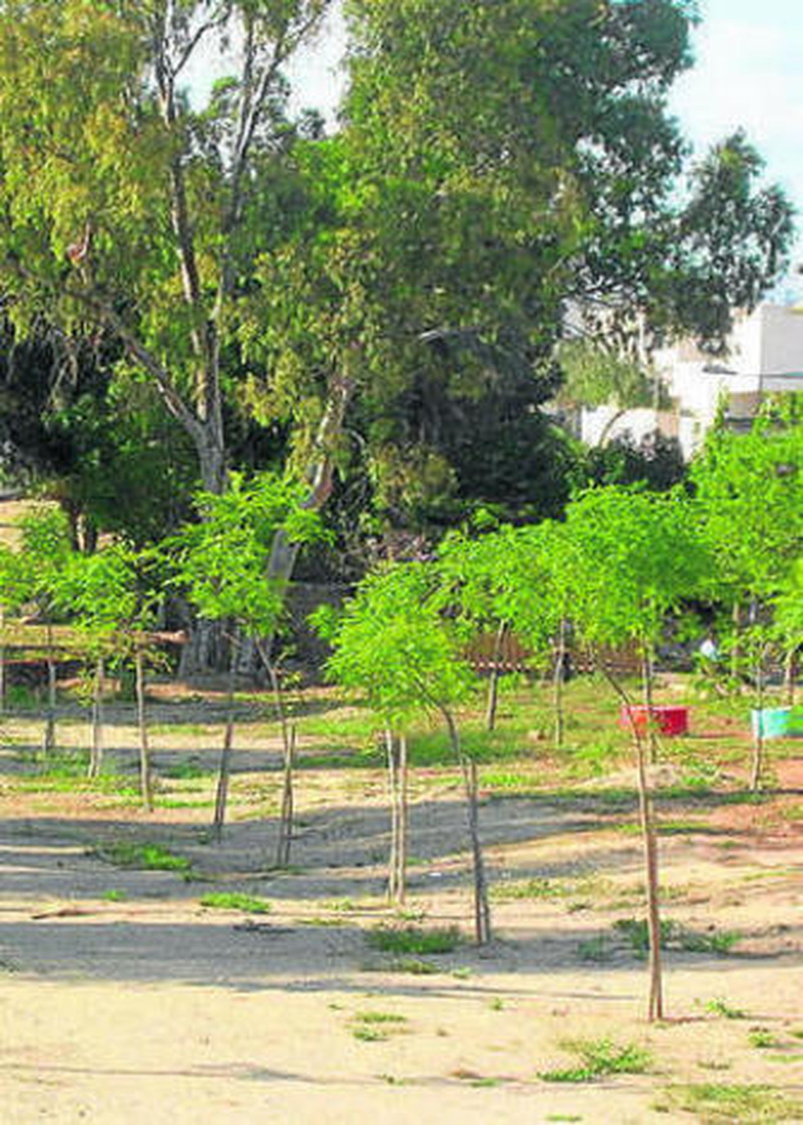 Parque de Santa Matilde.
