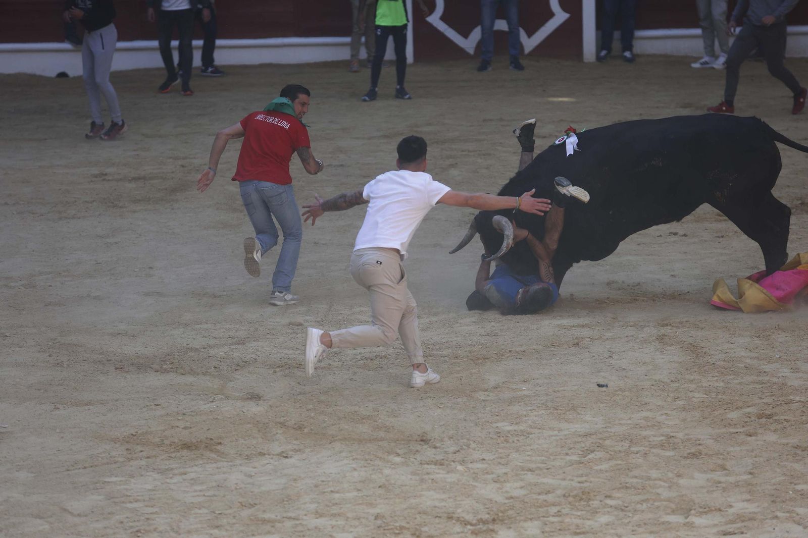 Fotos de los encierros del sábado del Toro Embolao en Los Barrios