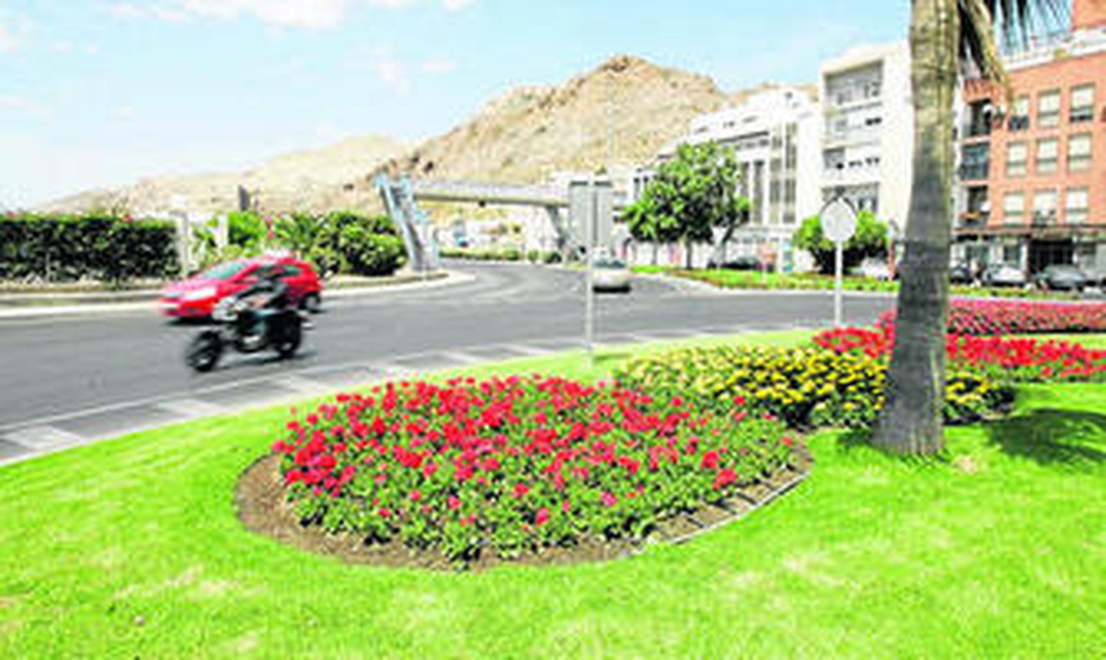 Plantas de temporada de la rotonda del barrio de Pescadería.