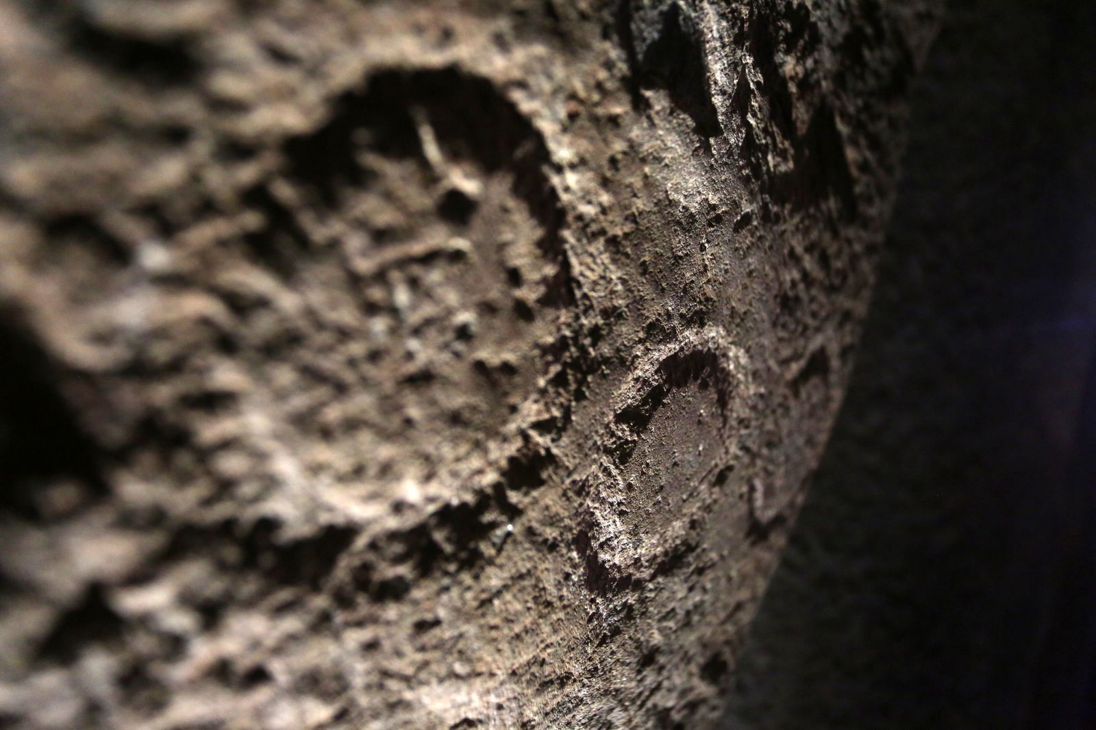 Visita de autoridades al Dolmen de Soto en imágenes