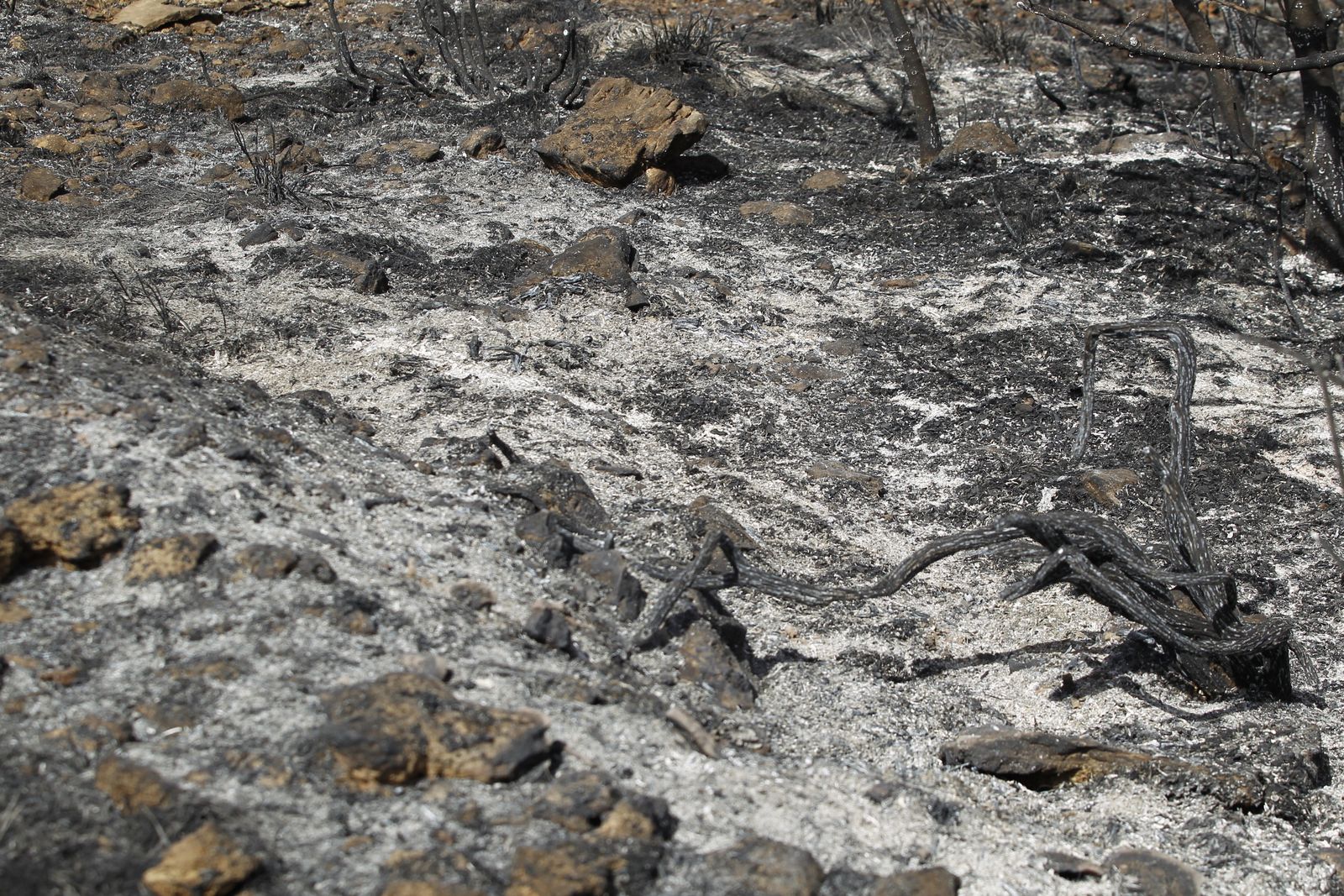 Fotogalería incendio extinguido Sierra de Gádor