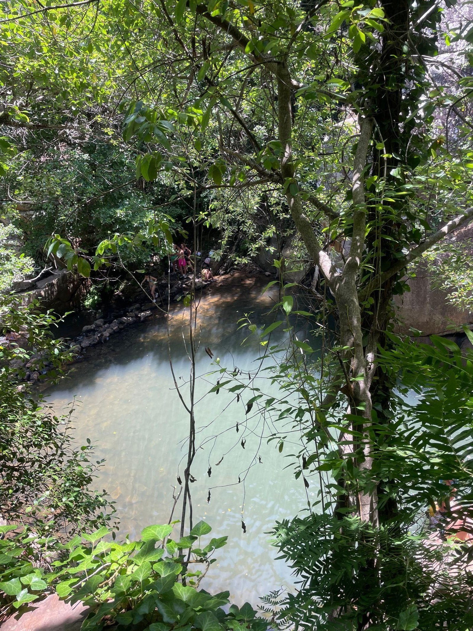 El sendero de la ruta de la Miel en Algeciras, en imágenes