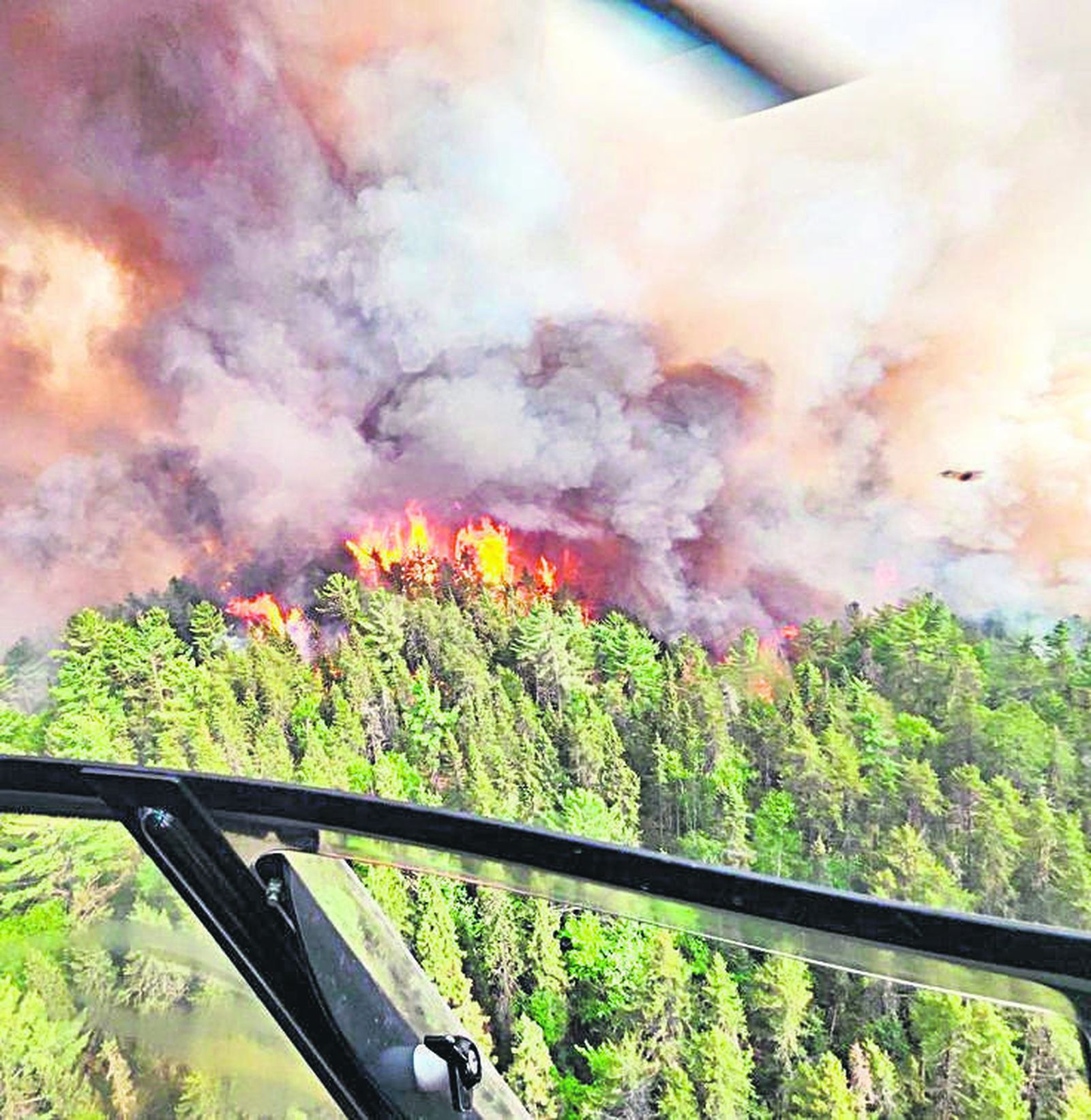 Récord de incendios en verano en el hemisferio norte