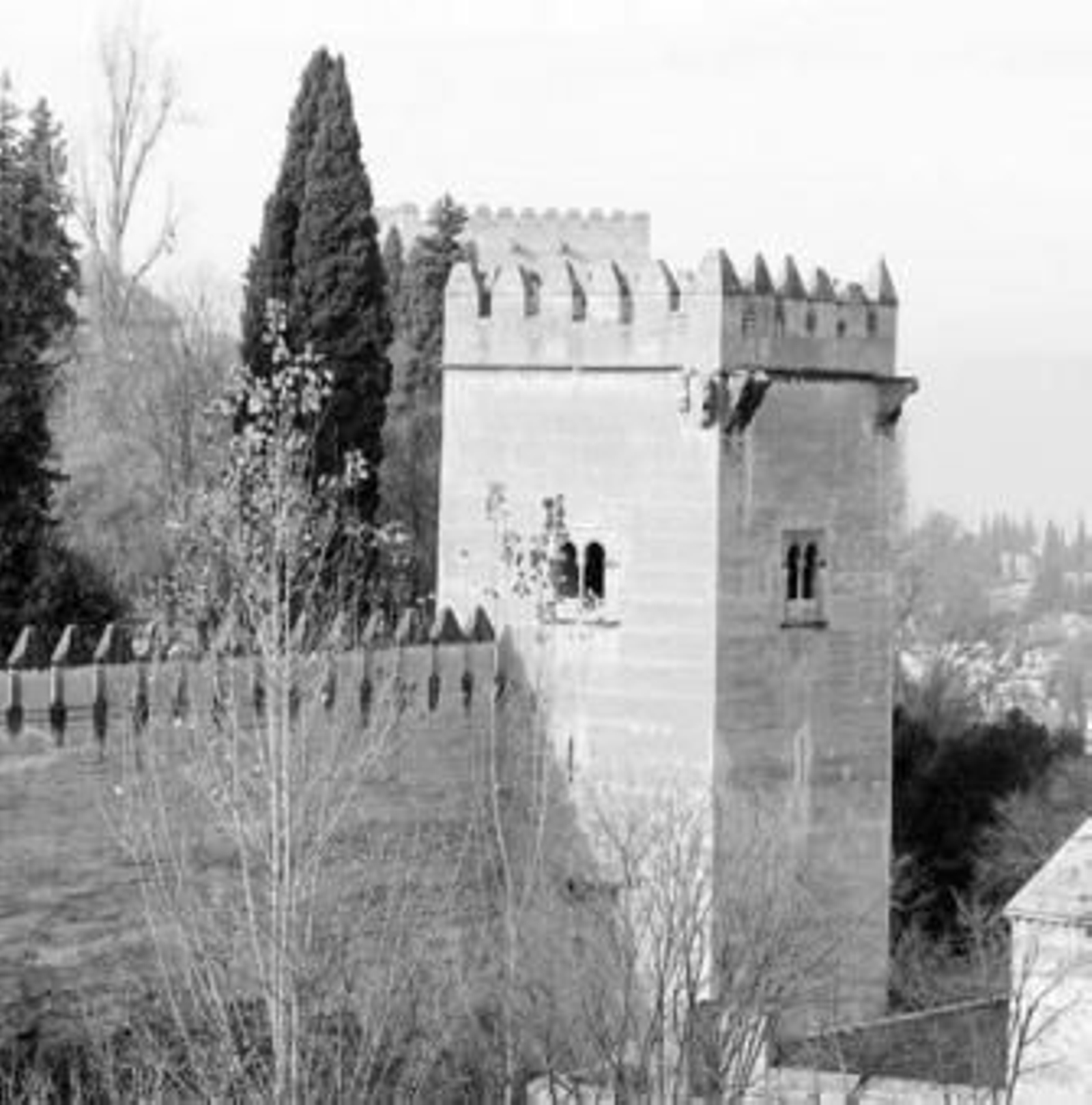 La Torre de los Picos se podrá visitar durante todo junio como Espacio del Mes.