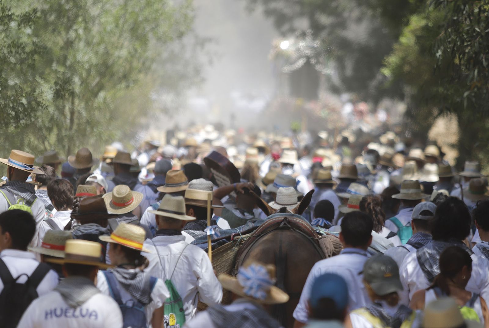 Todos los peregrinos de la Hermandad de Huelva, en imágenes