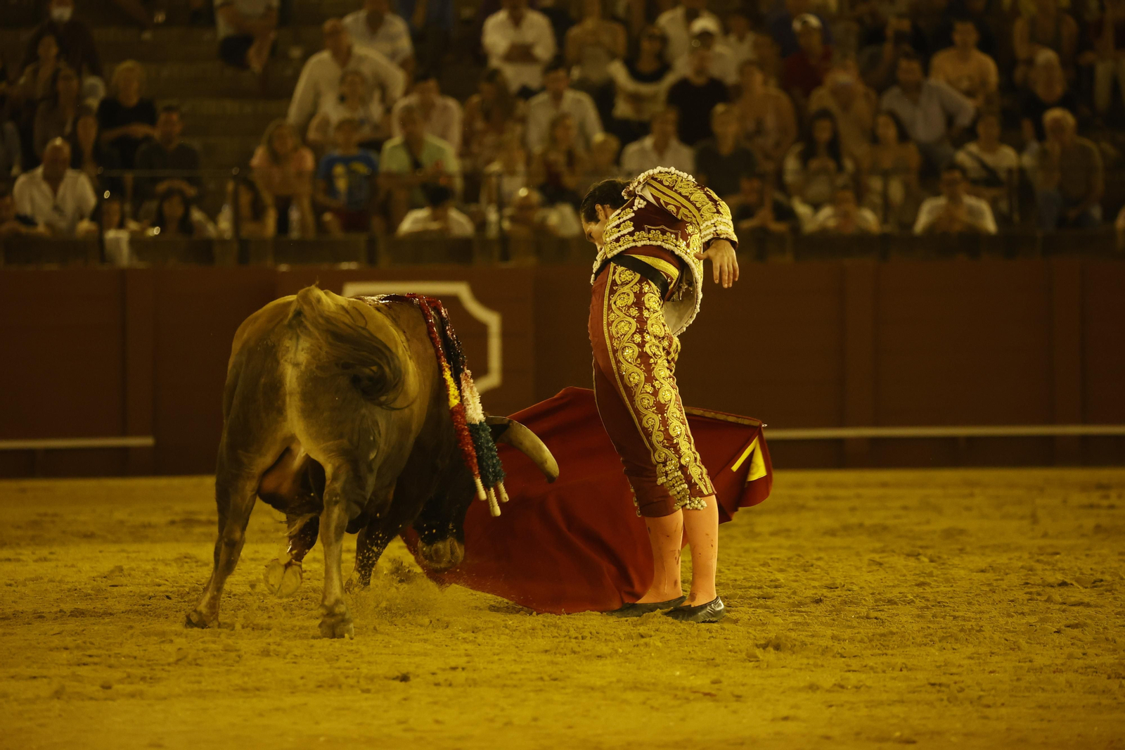 Las imágenes de la novillada en la Maestranza