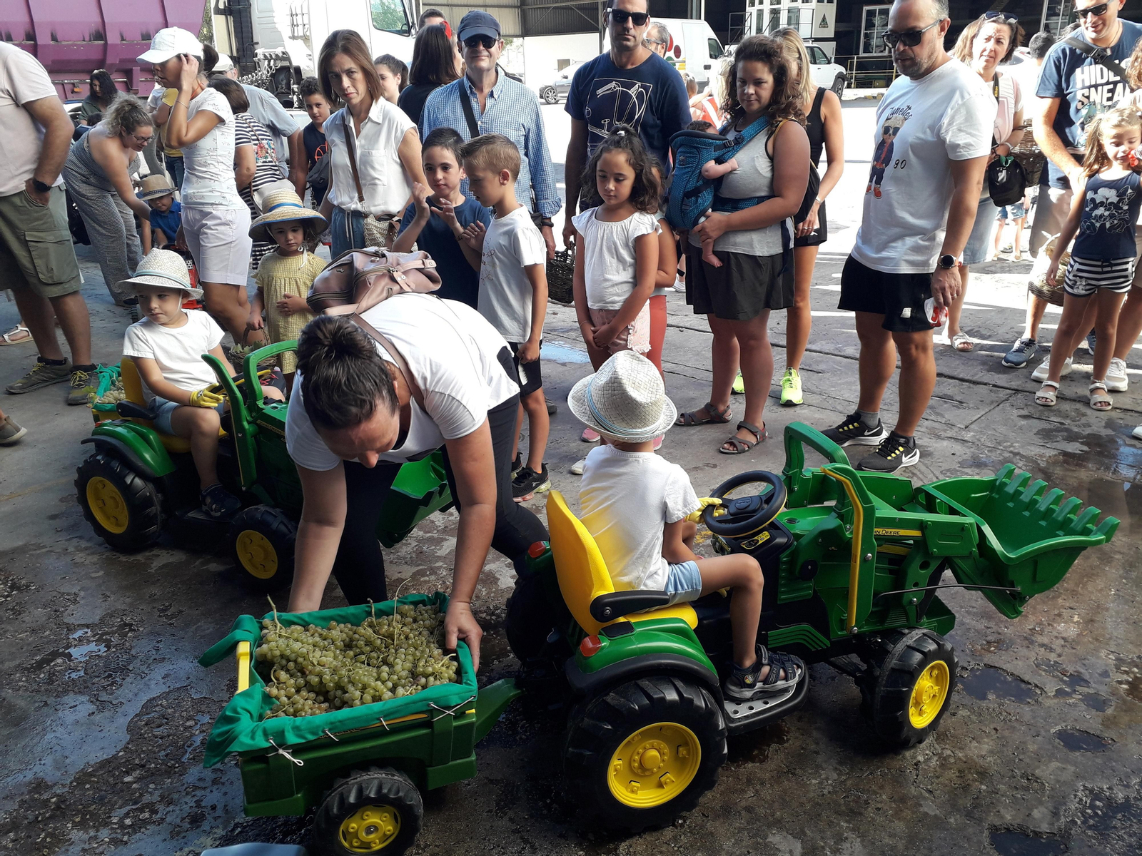 La primera vendimia infantil de Montilla, en imágenes