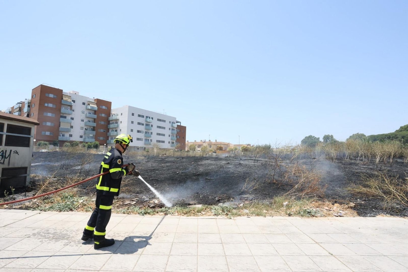 Incendio de pastos junto a la avenida de Espera en Jerez