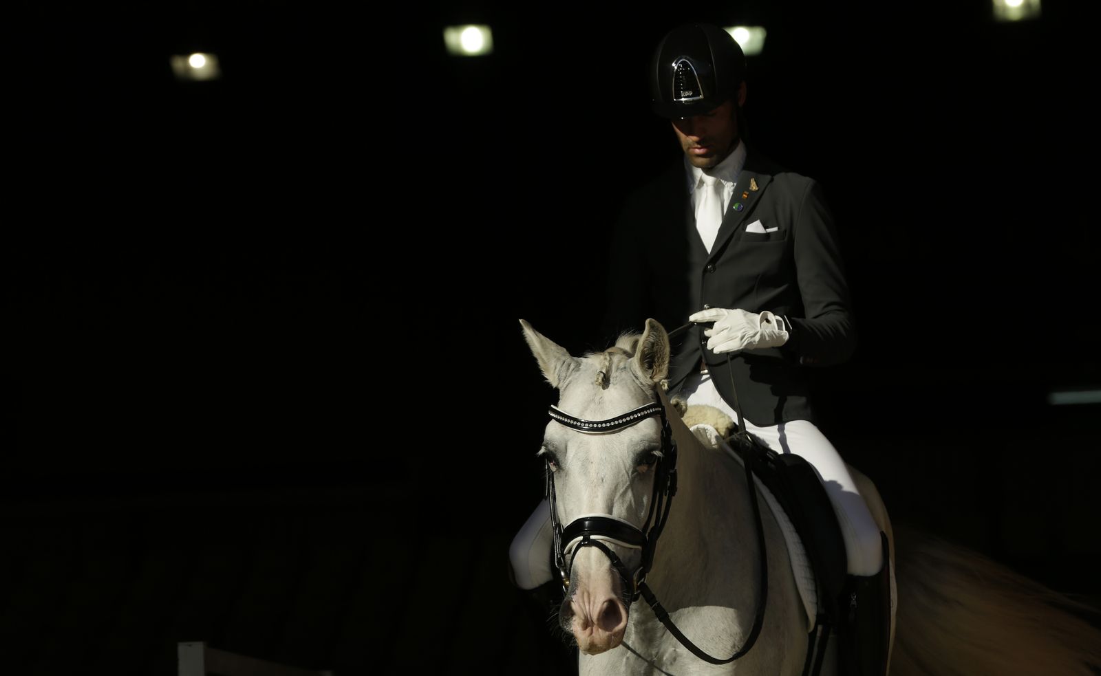 Este martes comienza la segunda semana del Sicab 2020.