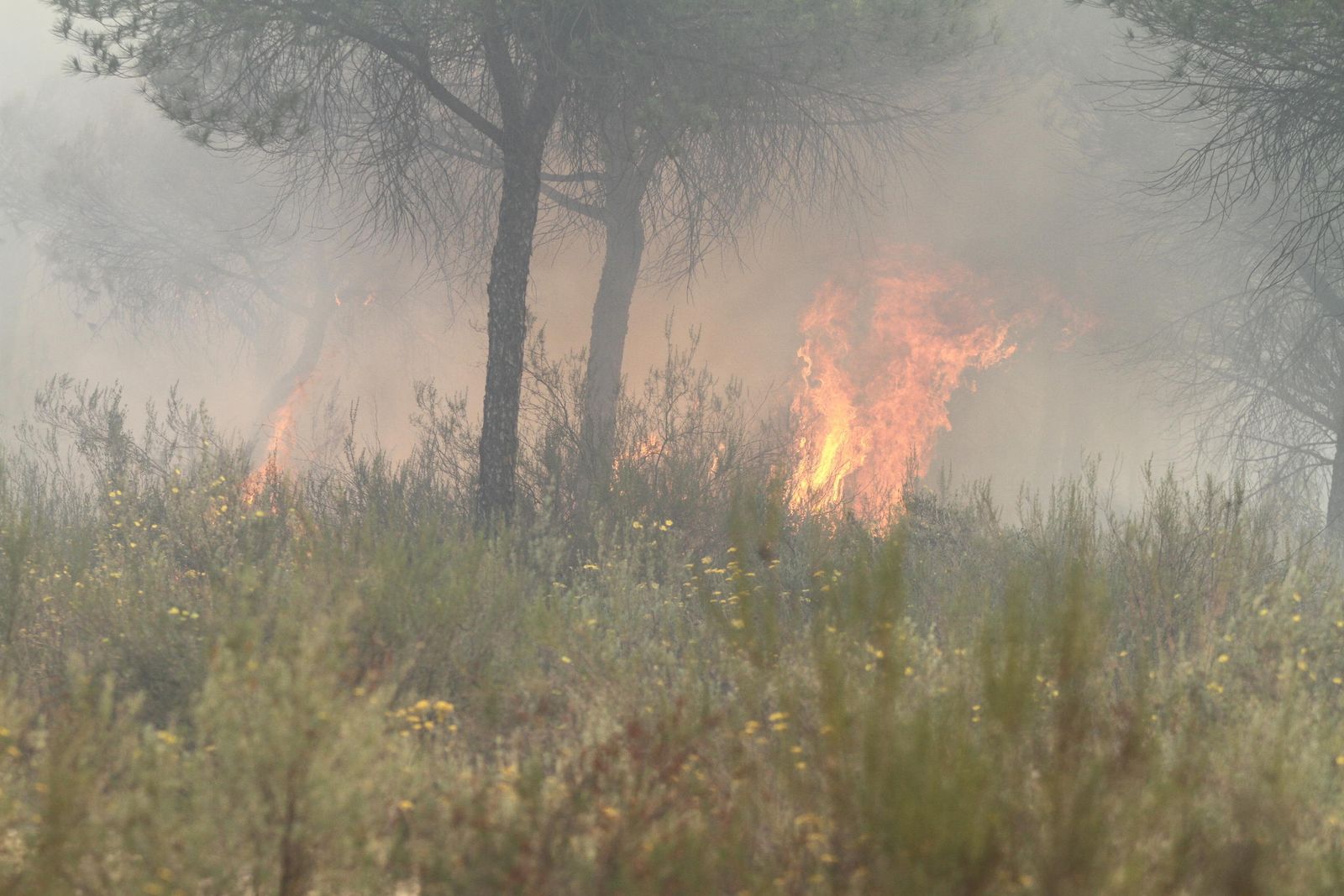 Las imágenes del incendio en Moguer y Mazagón