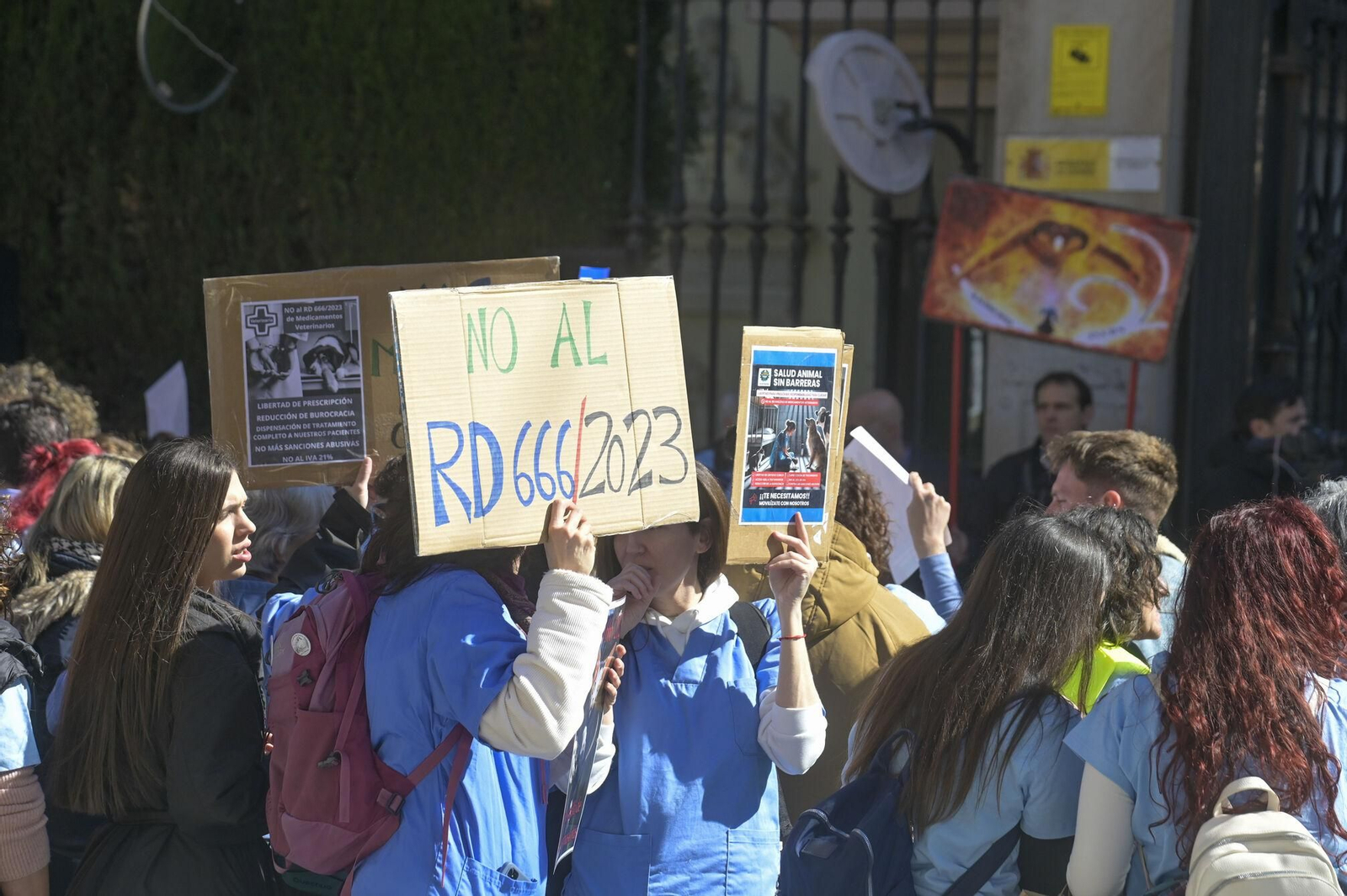 Las mejores imágenes de la manifestación de 300 veterinarios en Granada