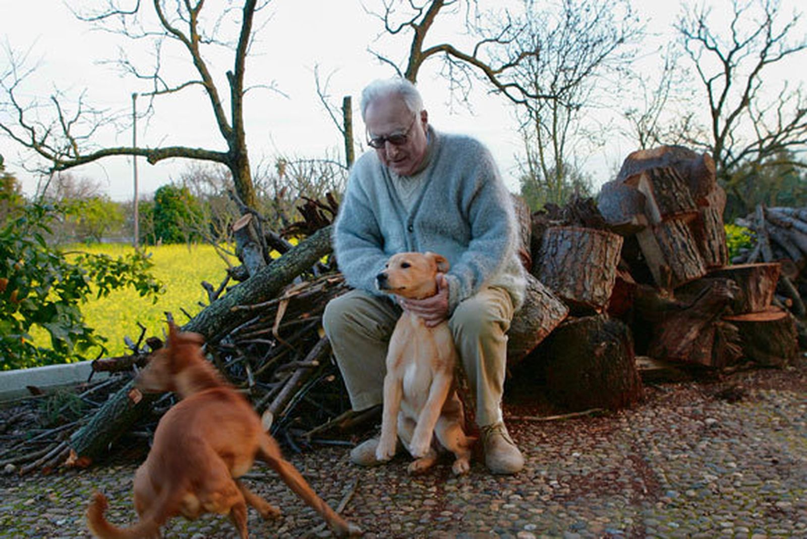 "Si me pierdo, que no me busquen en Dallas"