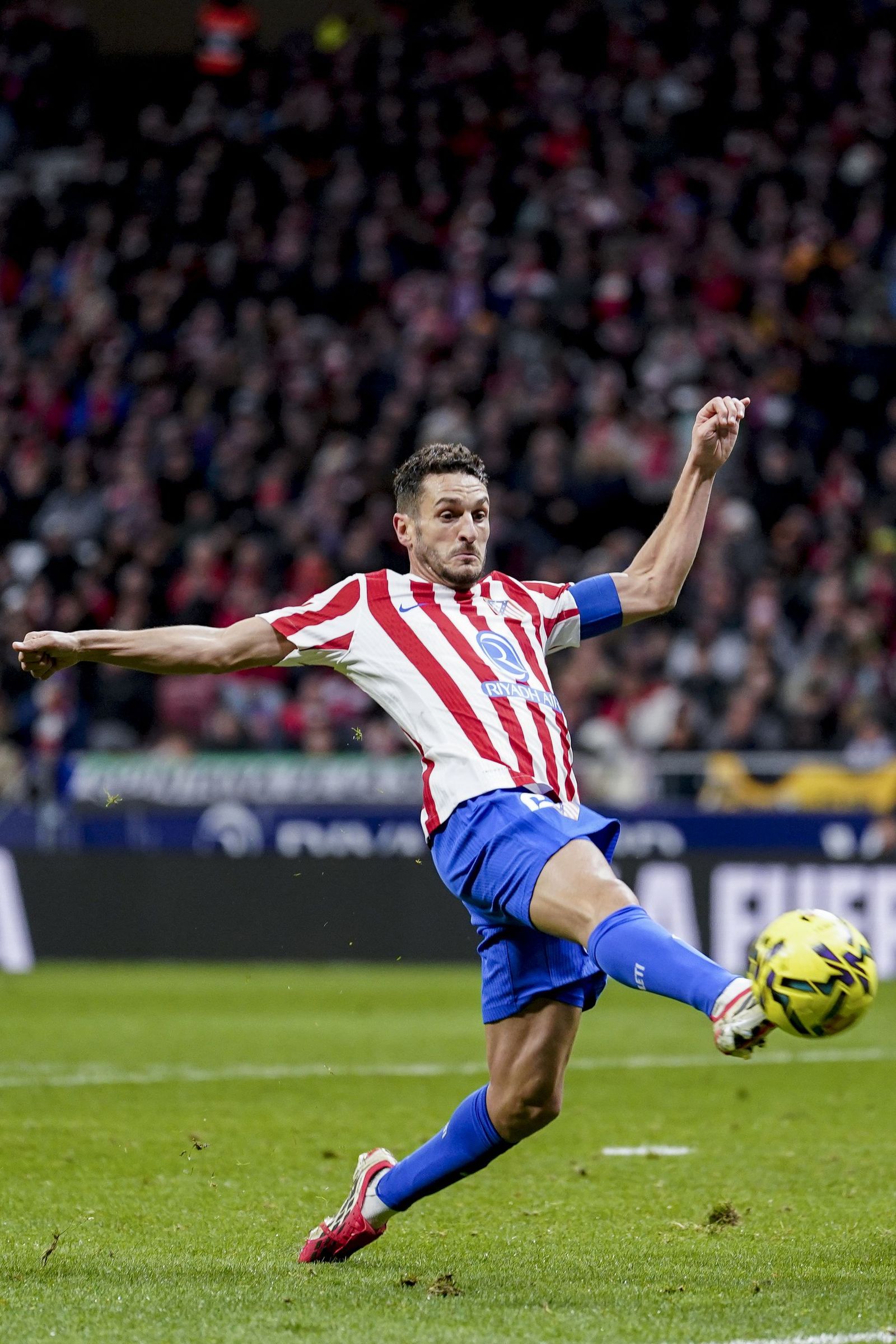 Las fotos del gran triunfo del Betis ante el Atlético