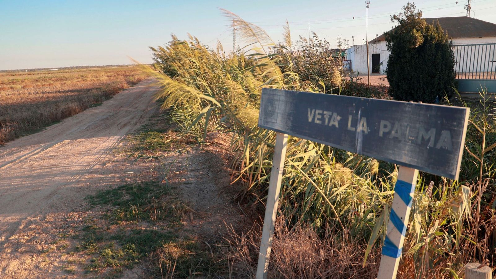 Entrada a la finca ‘Veta la Palma‘, que la Junta ha adquirido para ampliar el terreno de Doñana.