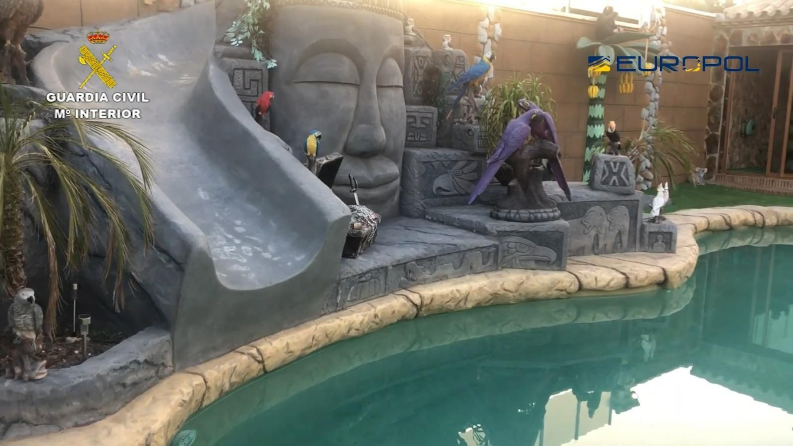 Fotos de la Operación Tortilla contra el narco en el Campo de Gibraltar