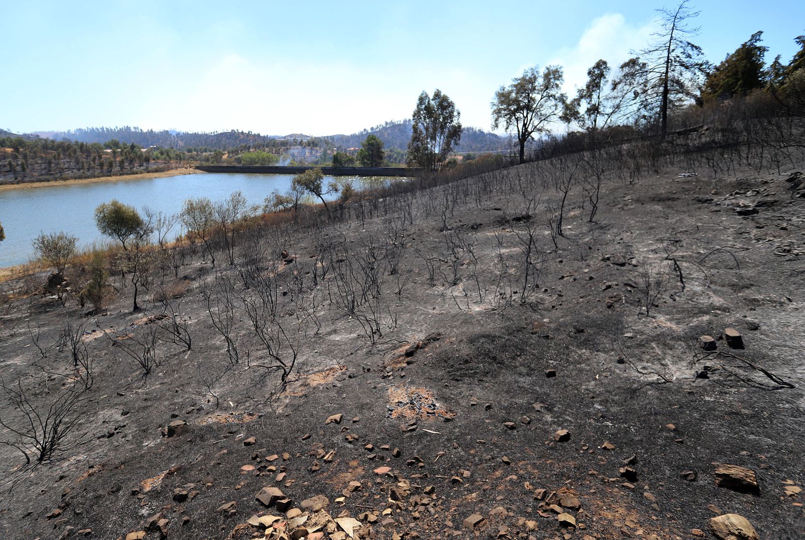 Imágenes de la devastación que deja a su paso el incendio de Almonaster la real.