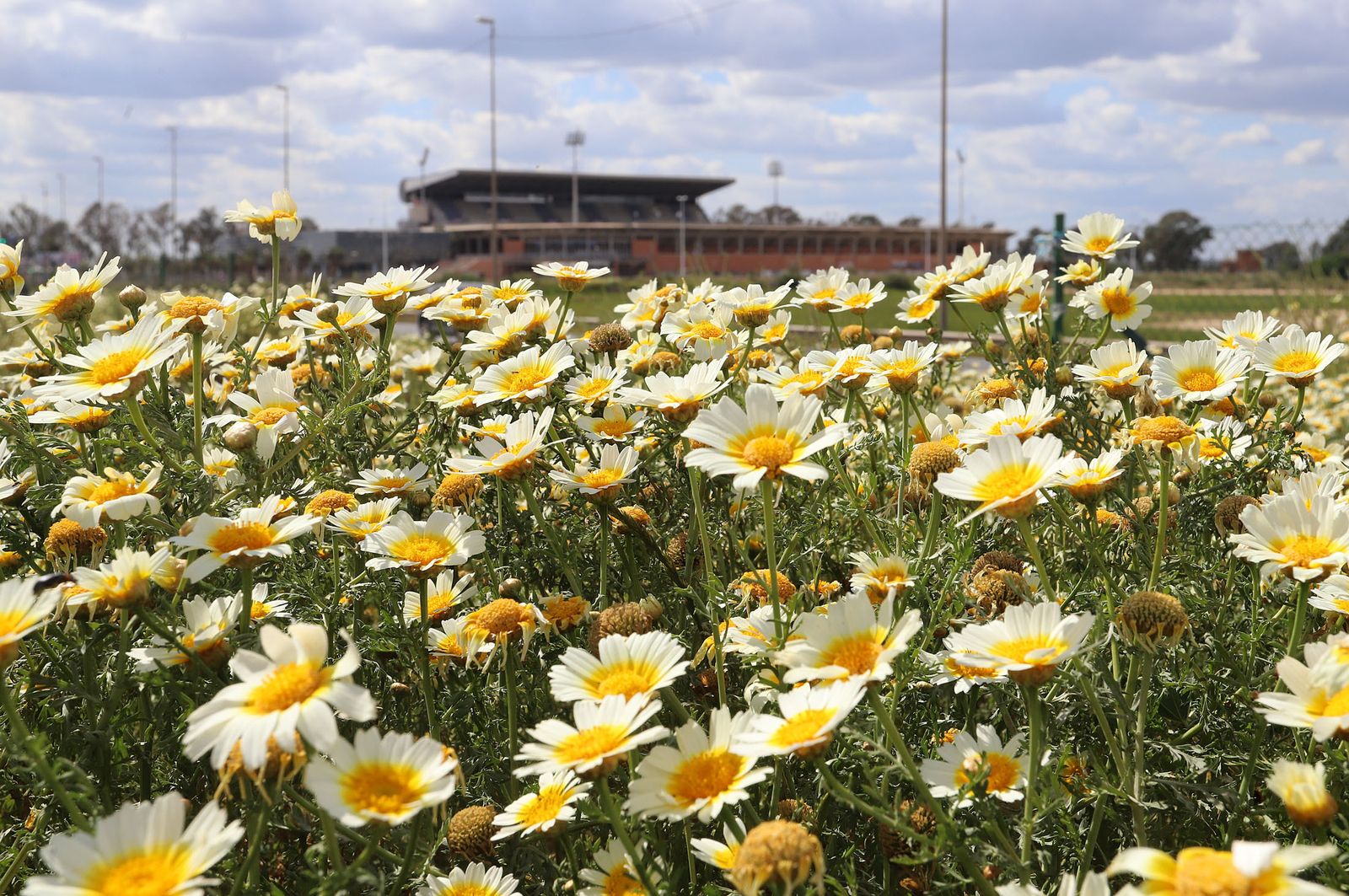 Las imágenes más destacadas del martes 19 de abril en Huelva