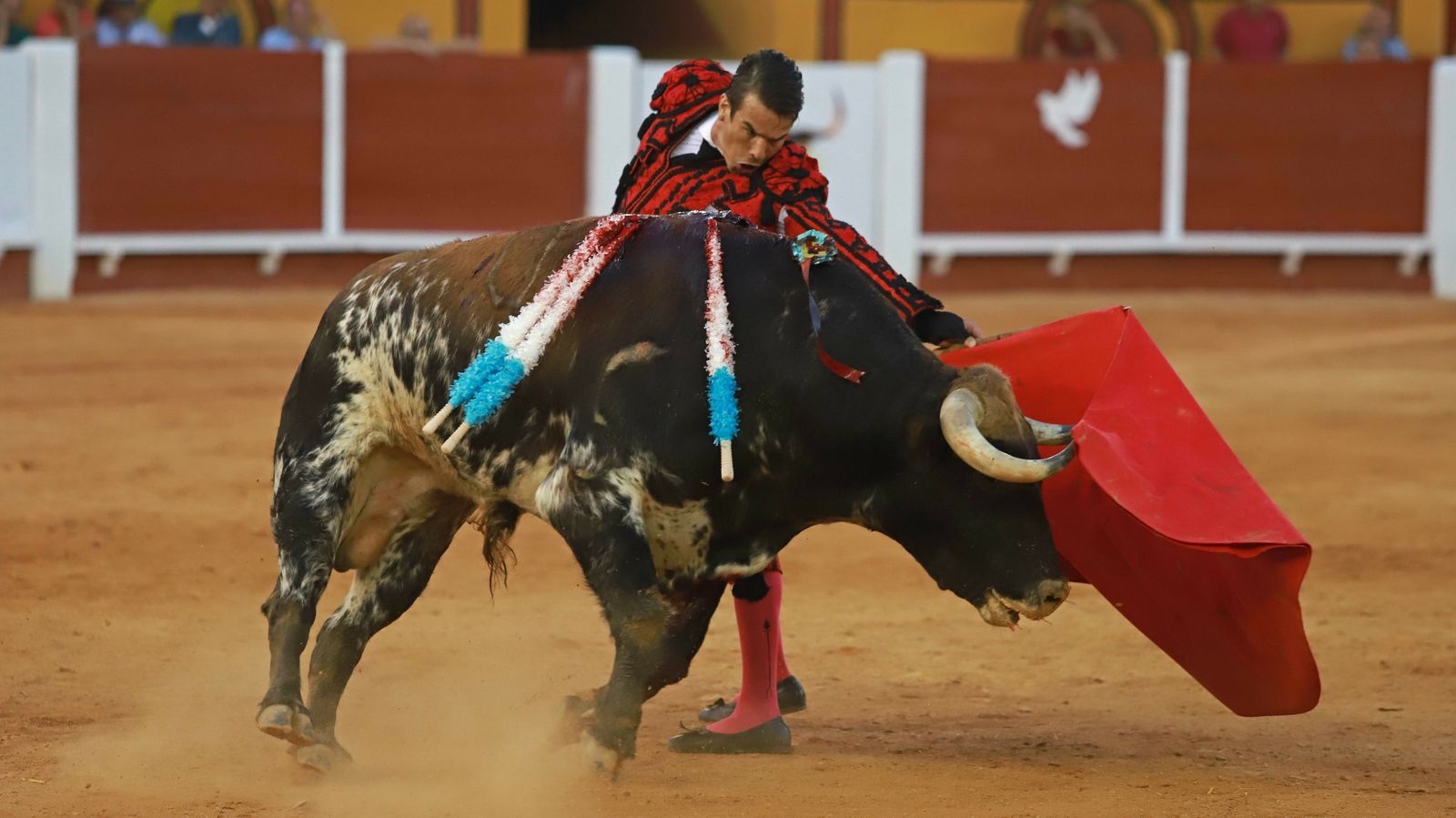 Las mejores fotos de la Corrida Goyesca de Algeciras