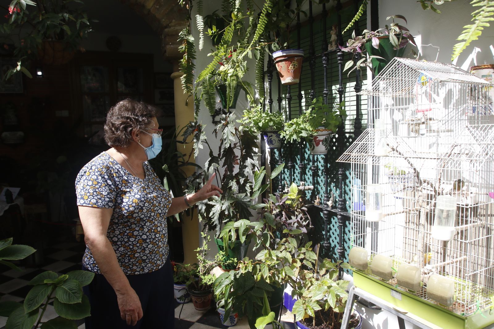 Las fotografías de los Patios de Córdoba en otoño