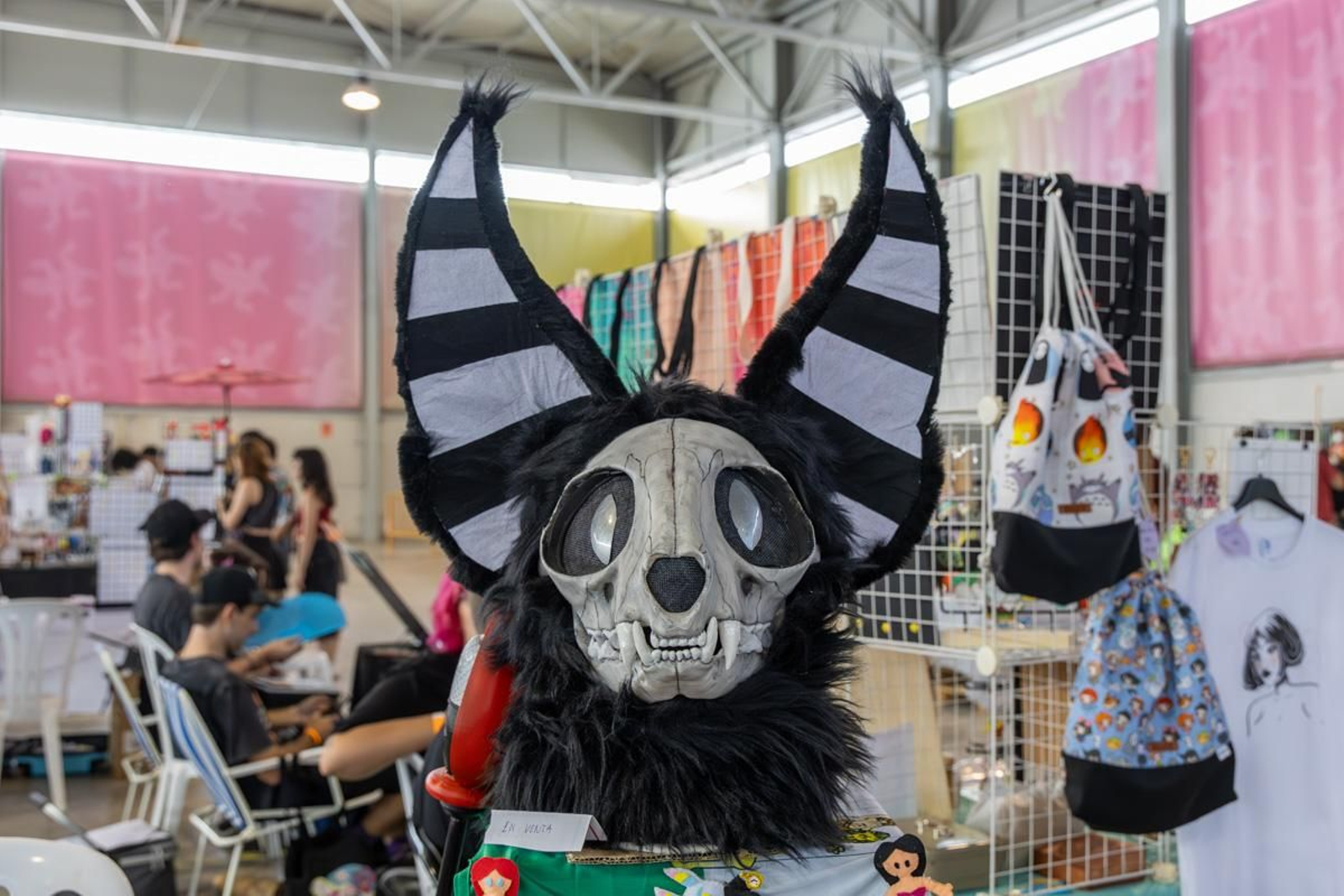 Jaén Go! en imágenes