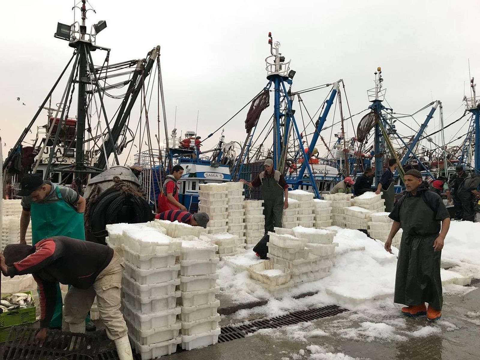 Un grupo de pescadores descarga productos en el muelle de Dakhla, ayer.