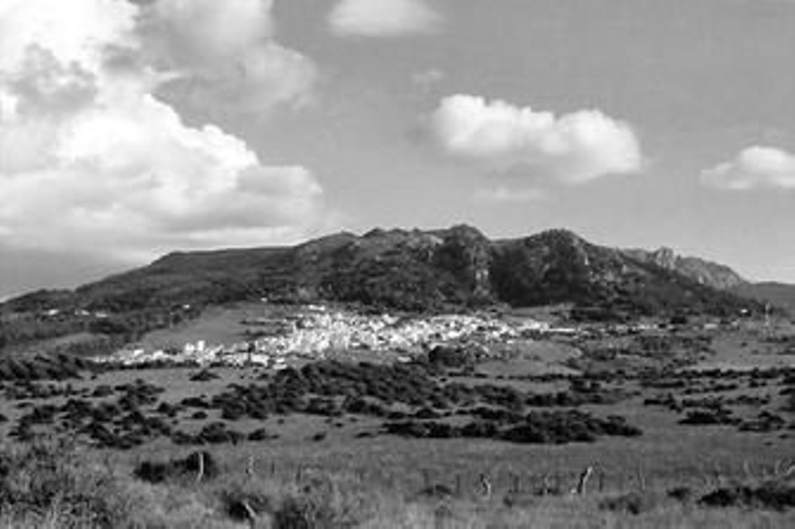 Reproducción de una de las imágenes de Facinas que se puede encontrar en el apartado de nuevas fotografías para el recuerdo.