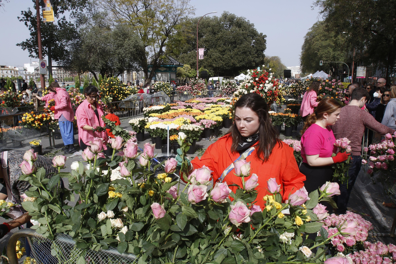 CORTE DEL PASEO COLON CON MERCADILLOS Y COLOCACION DE FLORES