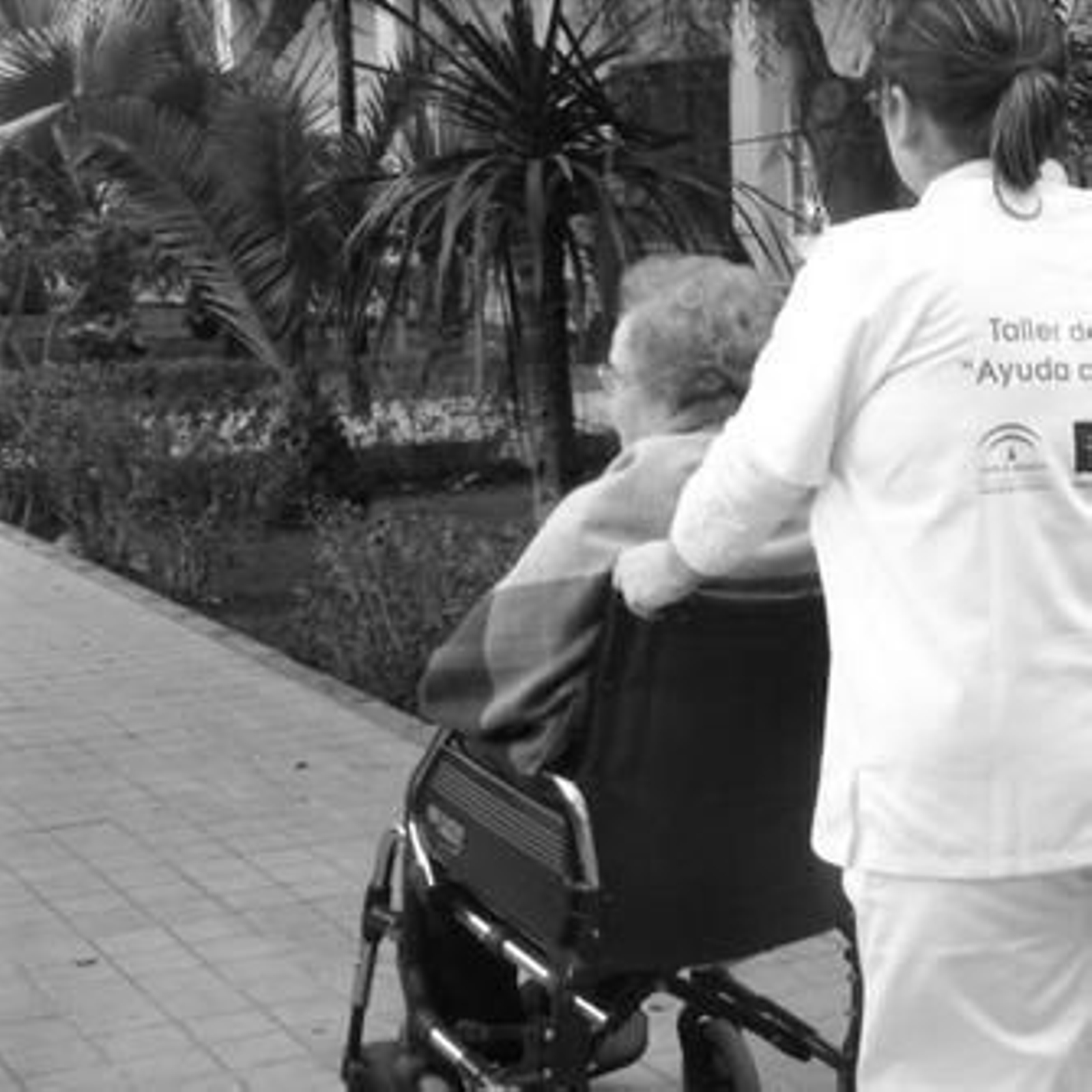 Una joven ayuda a una persona que va en silla de ruedas.