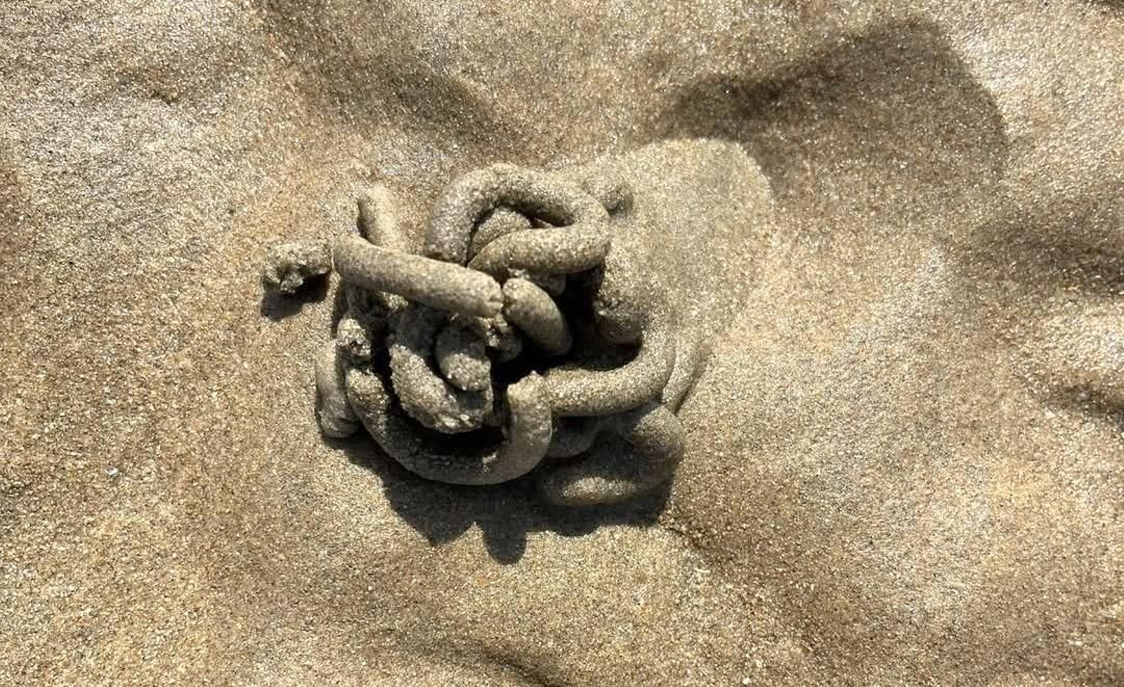 Los "churros de arena" que puedes ver por la orilla de la playa