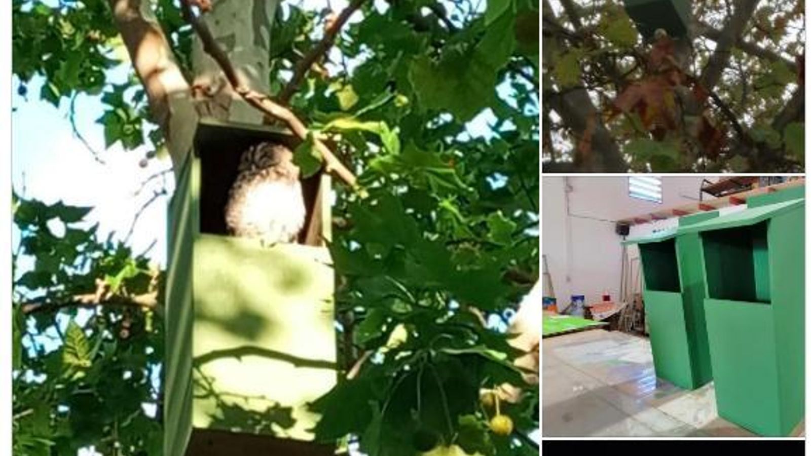 Uno de los nidos del Parque Blas Infante.