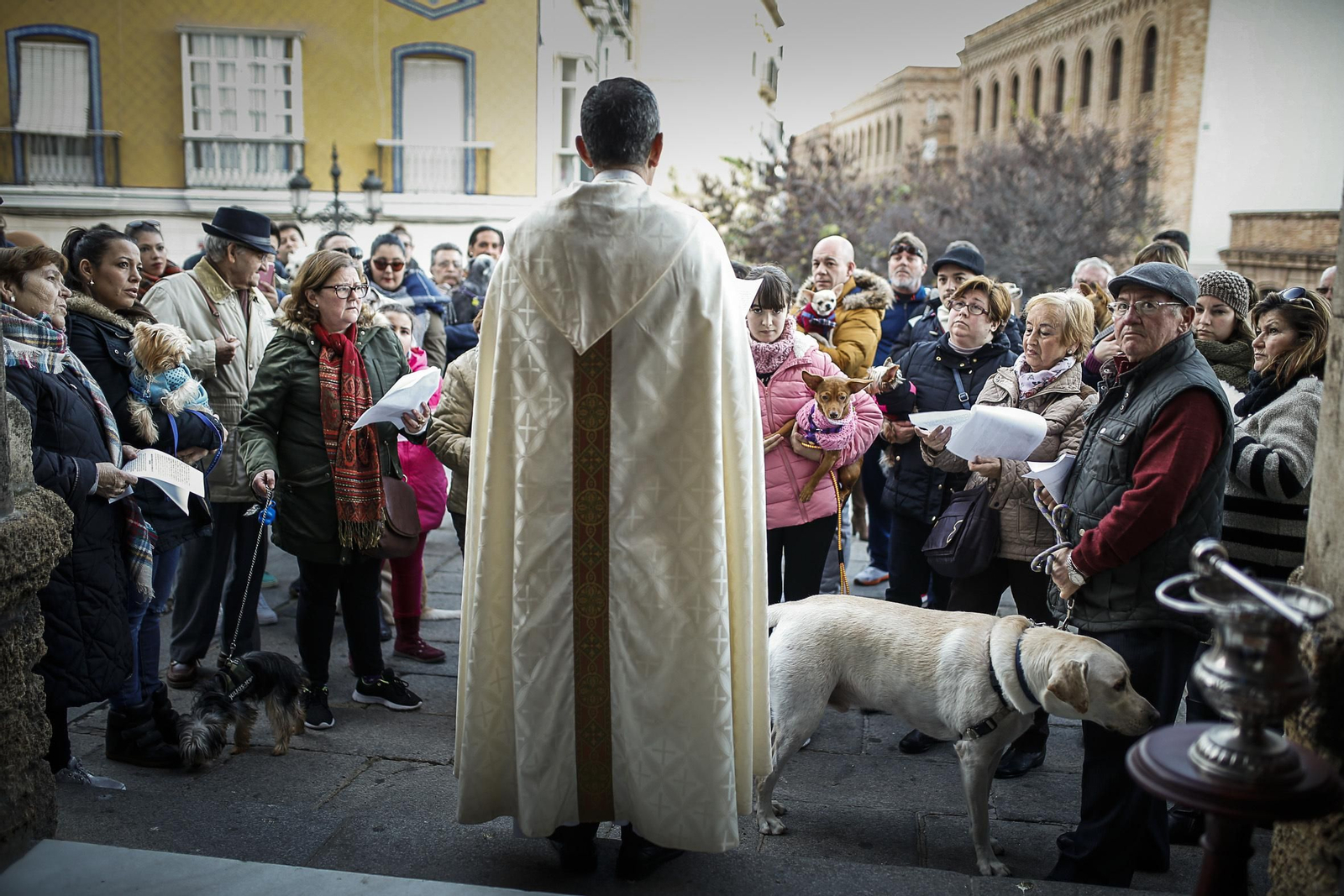 Bendición de animales en Santo Domingo