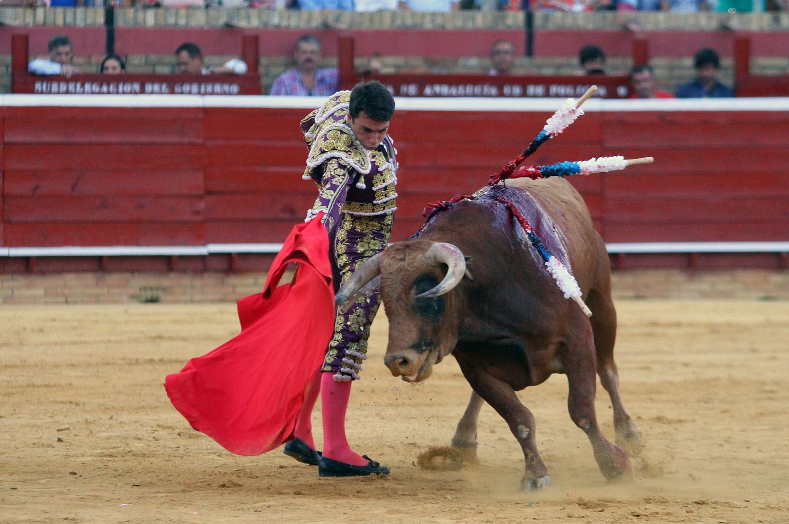 Imágenes de la Novillada de Rafael Serna, Emilio Silvera y Rodrigo Molina.