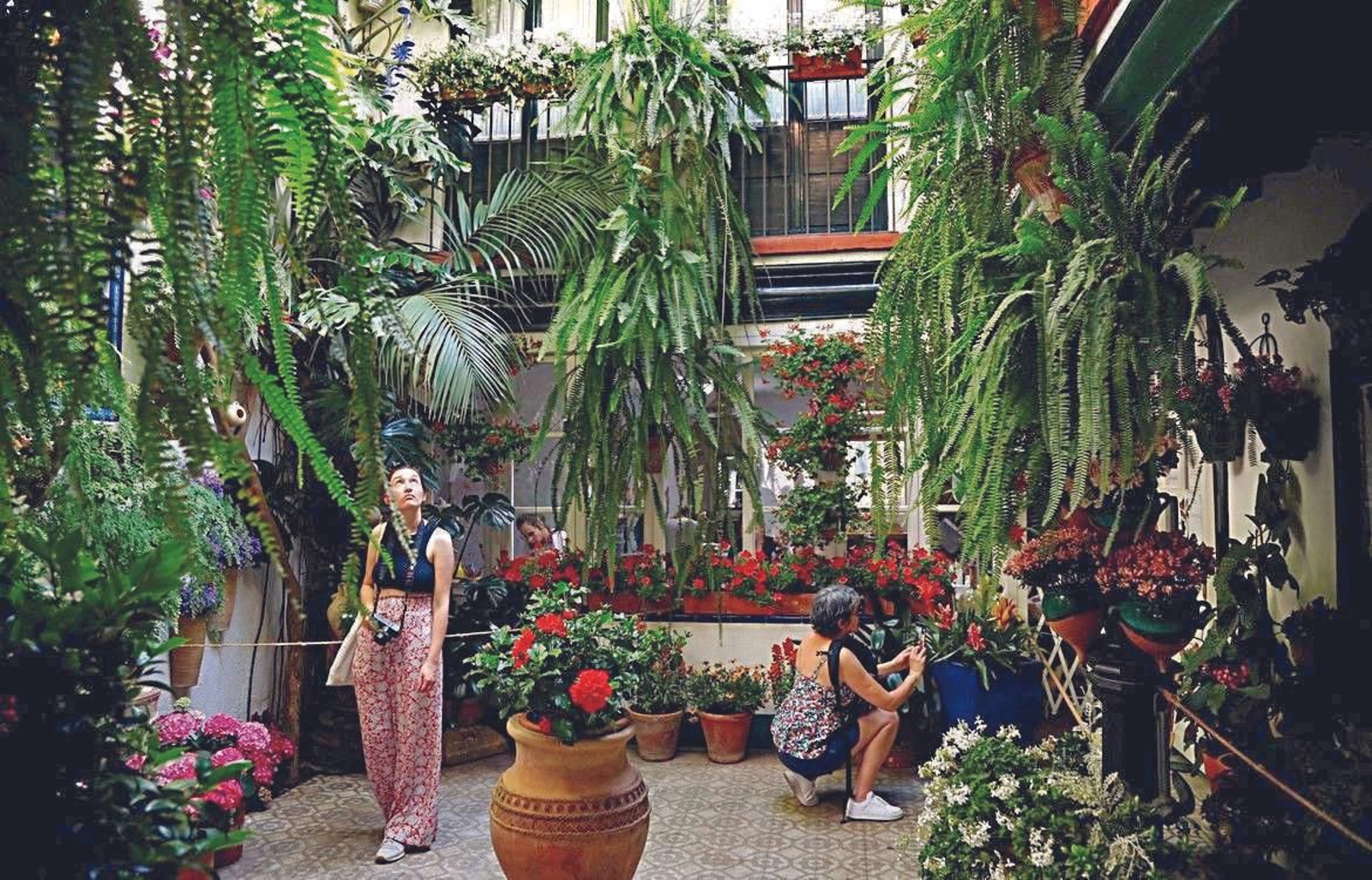 Ruta Judería-San Francisco: Maese Luis, 22