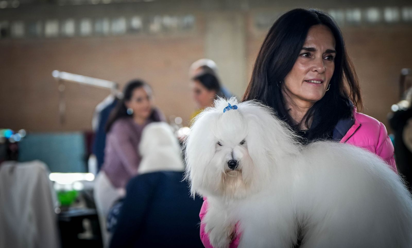 Espectacular exposición canina en Ifeca Jerez, en imágenes