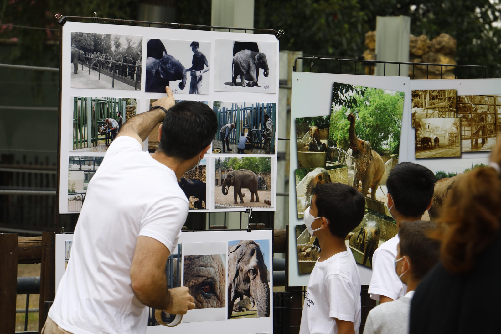 El homenaje en el zoo de Córdoba a la elefanta Flavia, en fotografías