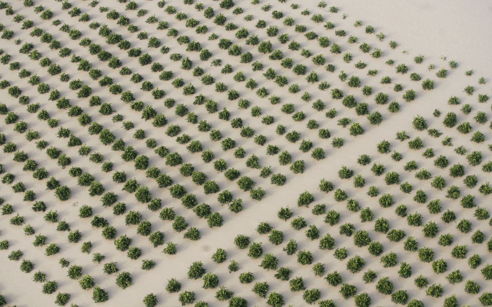 Las imágenes de las inundaciones de Córdoba de 2010