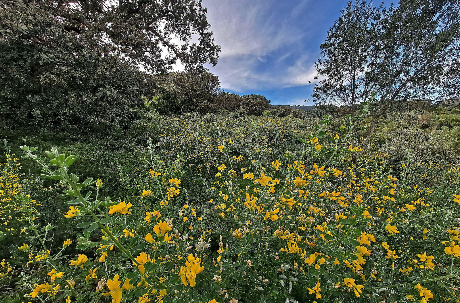 Fotos de la ruta de El Bujeo en Algeciras