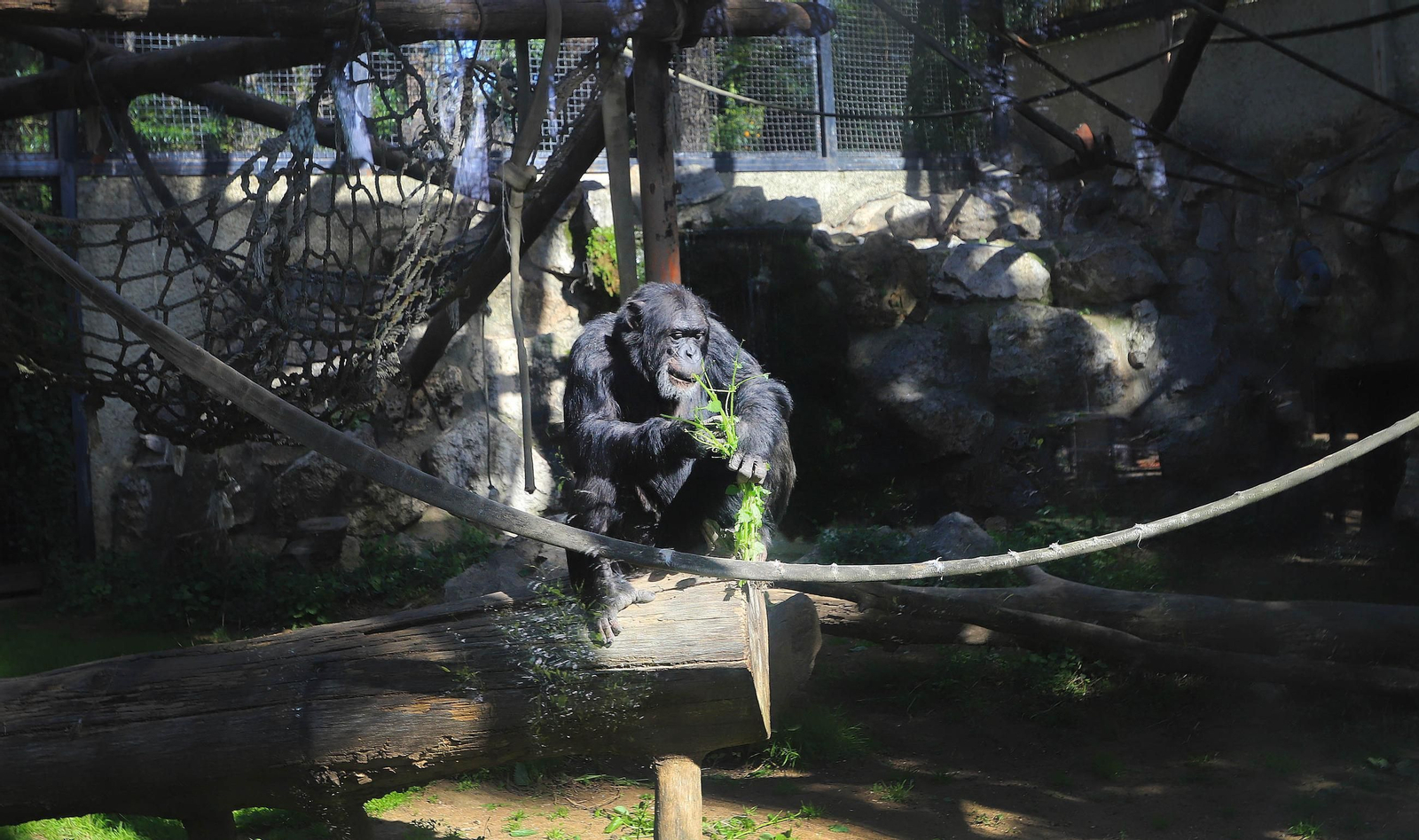 El Zoo de Jerez cumple 72 años El Zoo de Jerez cumple 72 años