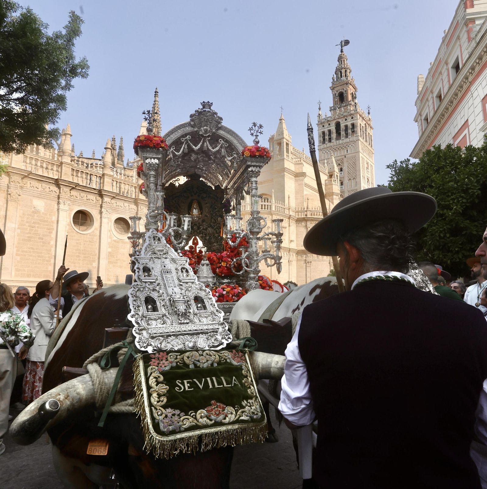 Las mejores fotos de la salida de la Hermandad de Sevilla hacia el Rocío