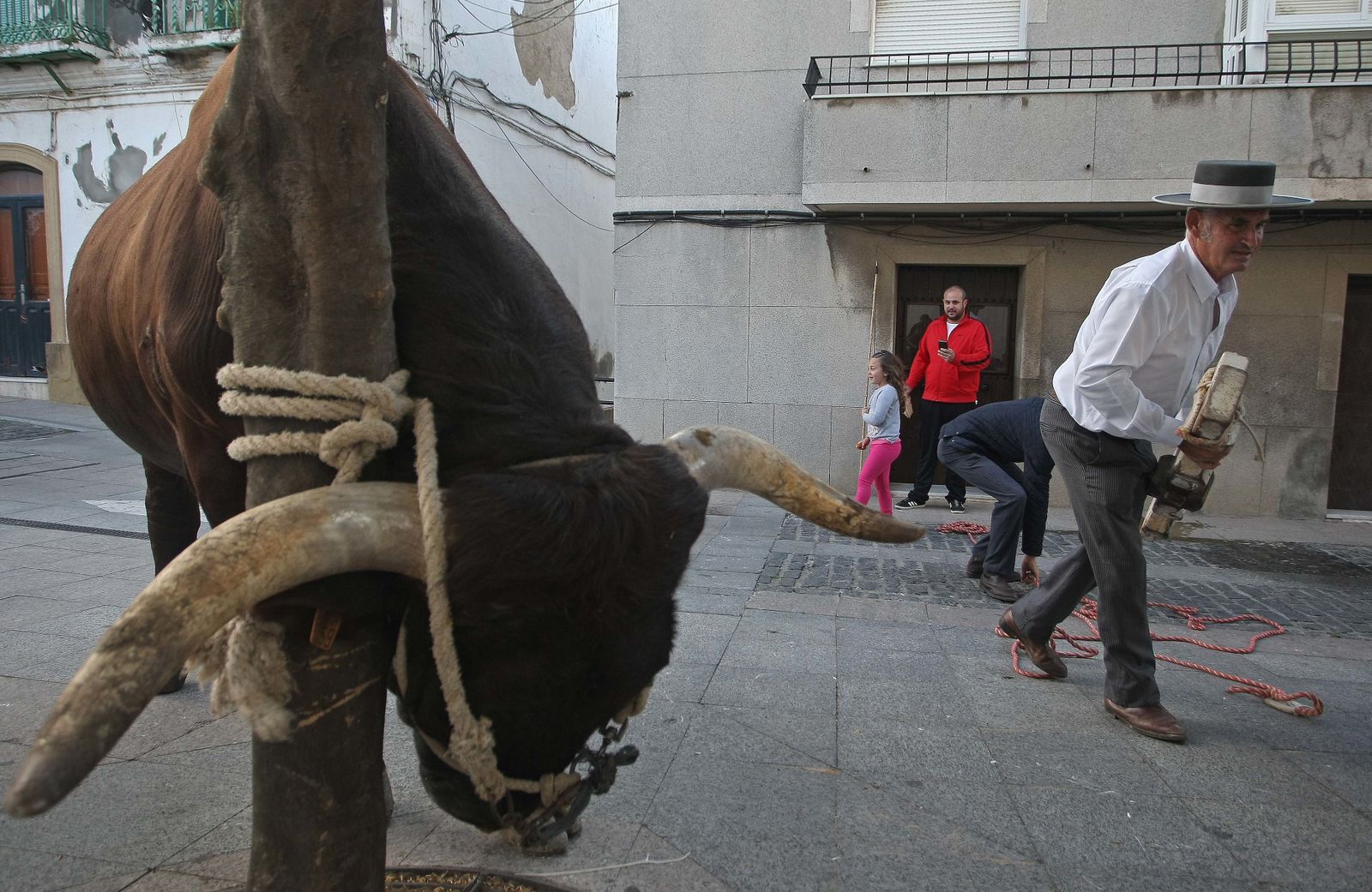 La Romería de Los Barrios, en imágenes