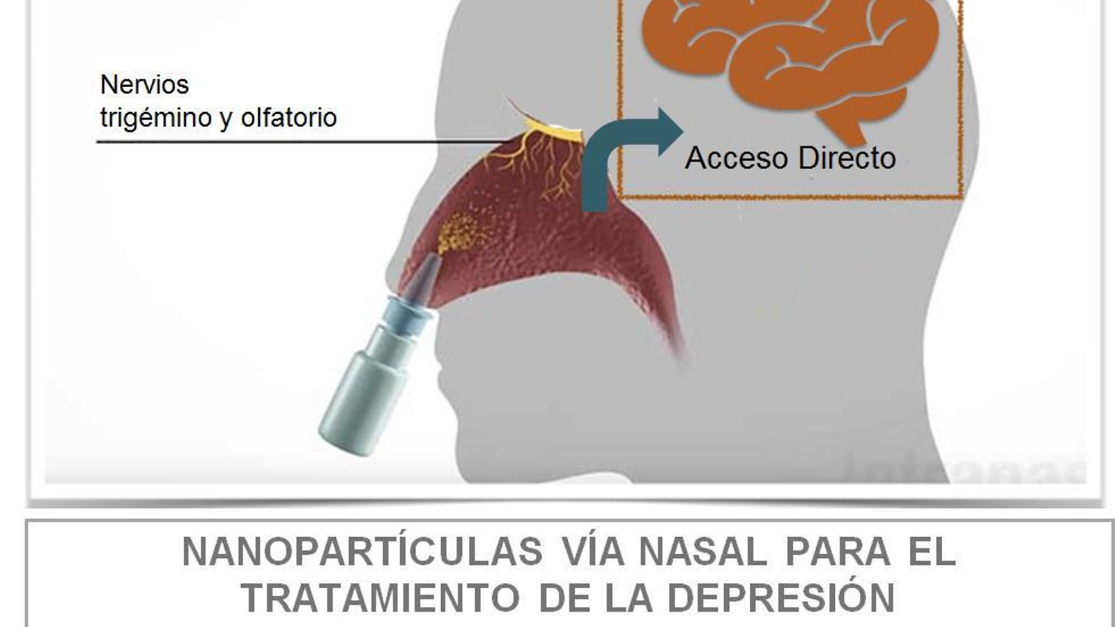 Gráfica que ejemplifica el funcionamiento del nuevo fármaco.