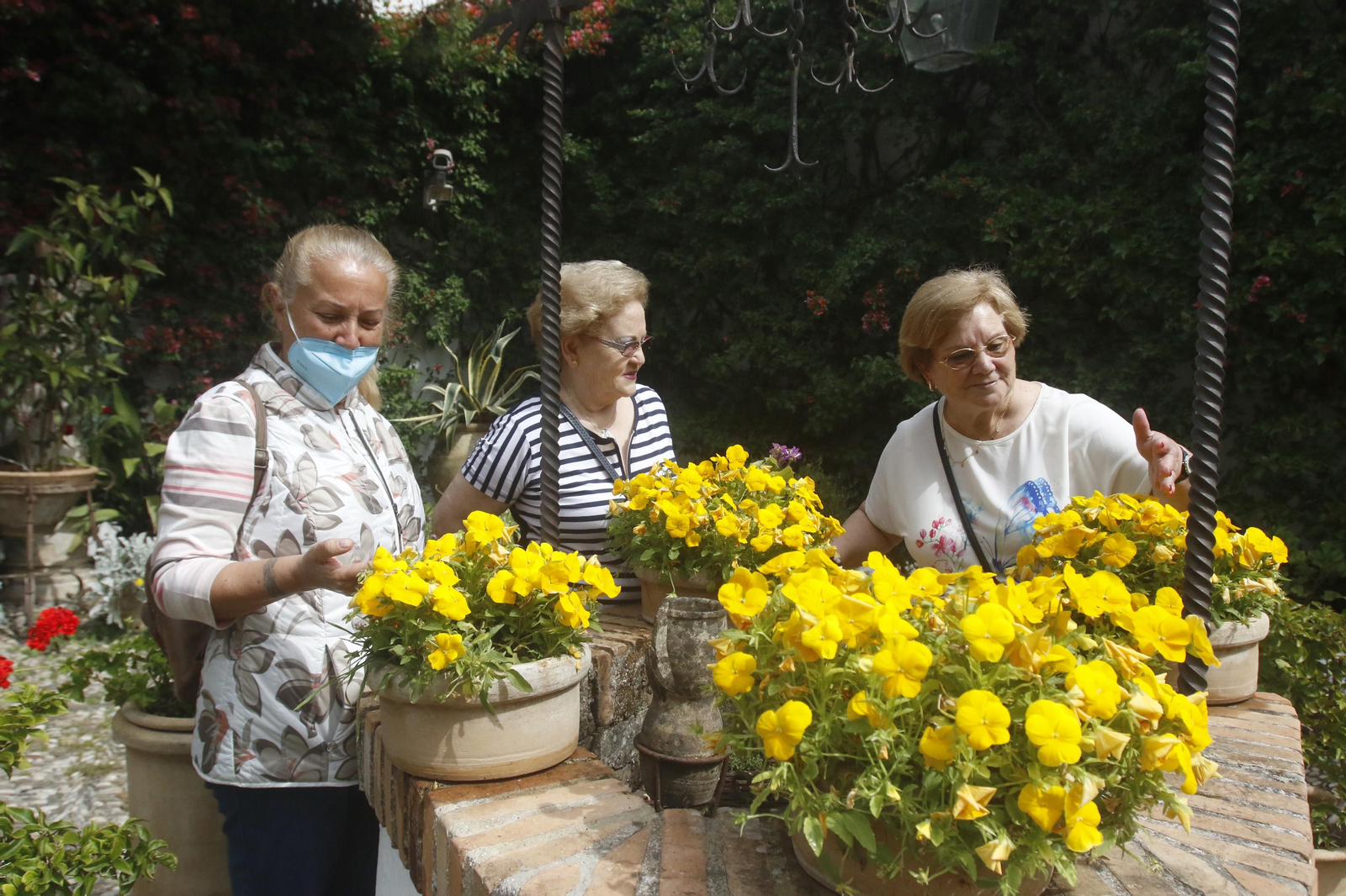 Ruta Santa Marina - San Agustín de los Patios de Córdoba, en imágenes