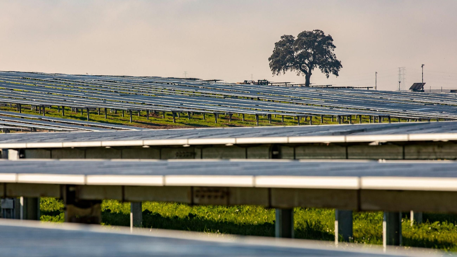 Imagen de una de las plantas de Alter Enersun en Huelva.