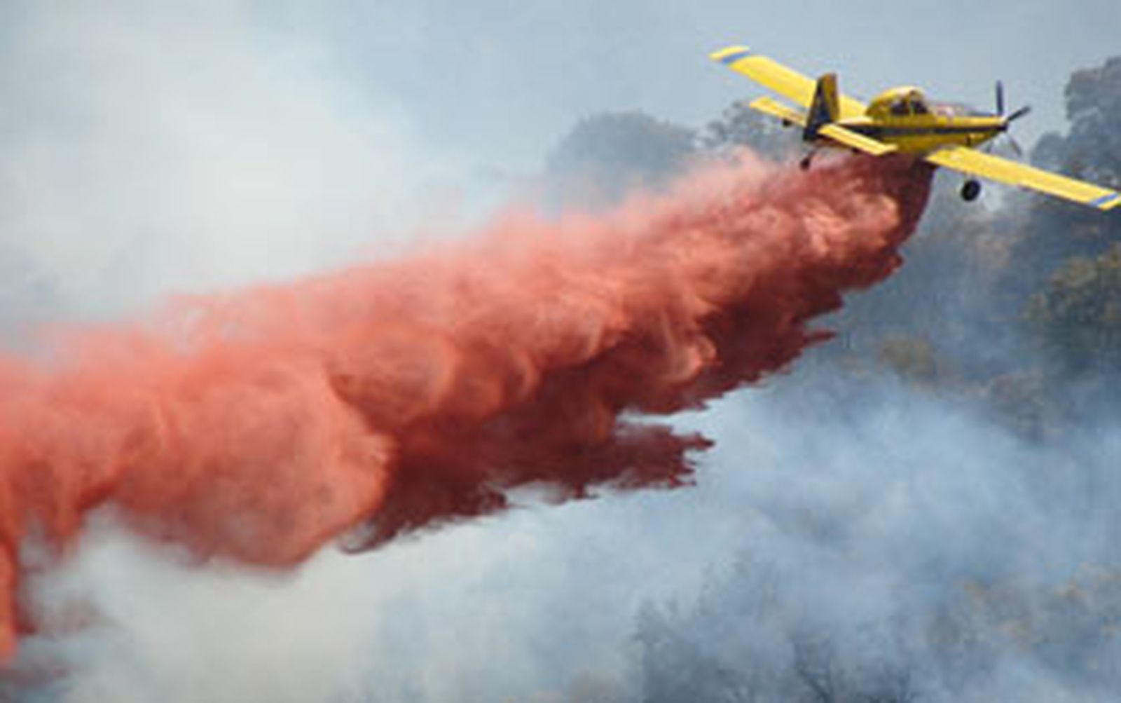 Estudian la imputación de cuatro personas por el incendio en San Nicolás del Puerto