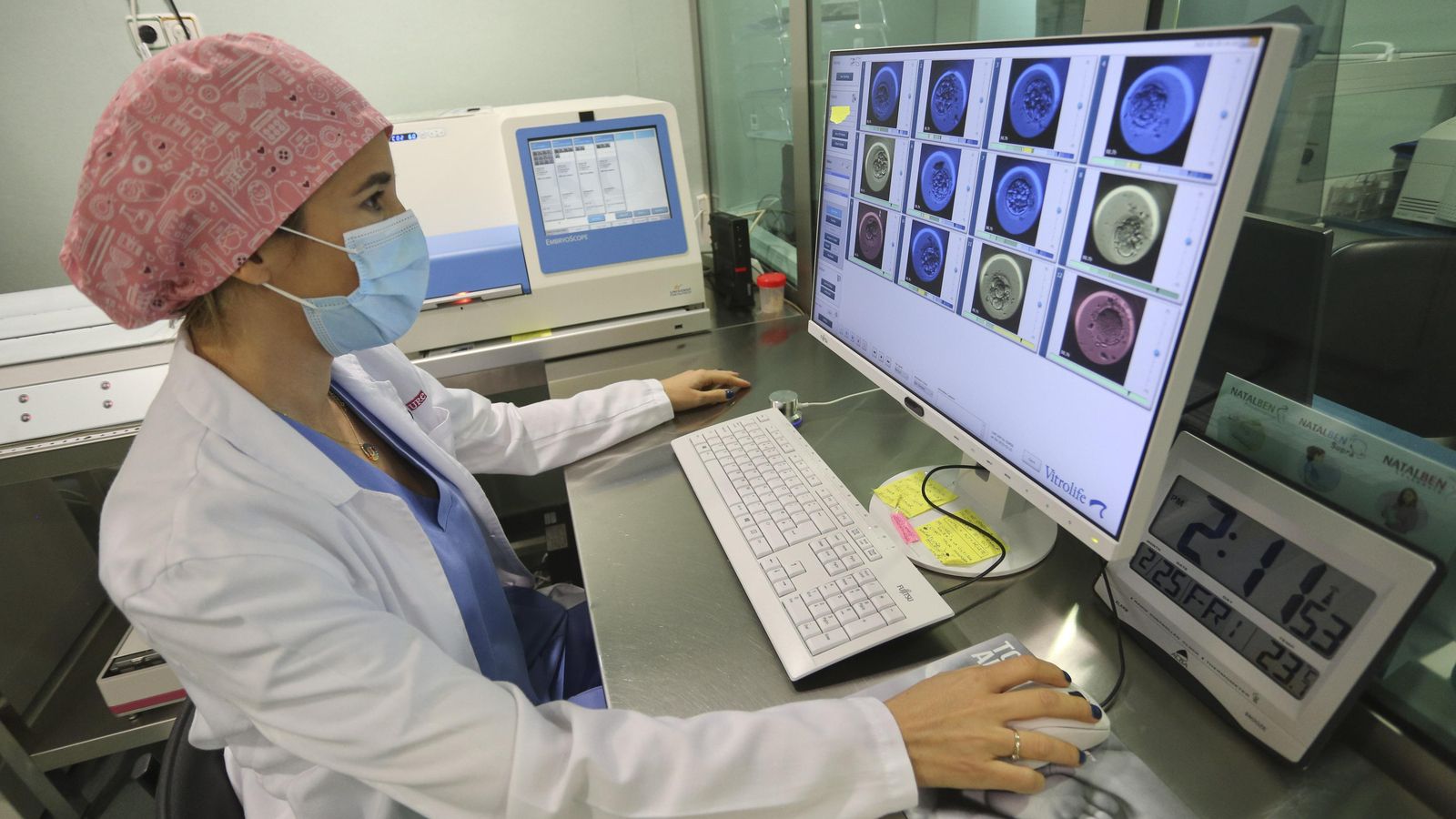 Una sanitaria observa embriones en una pantalla.