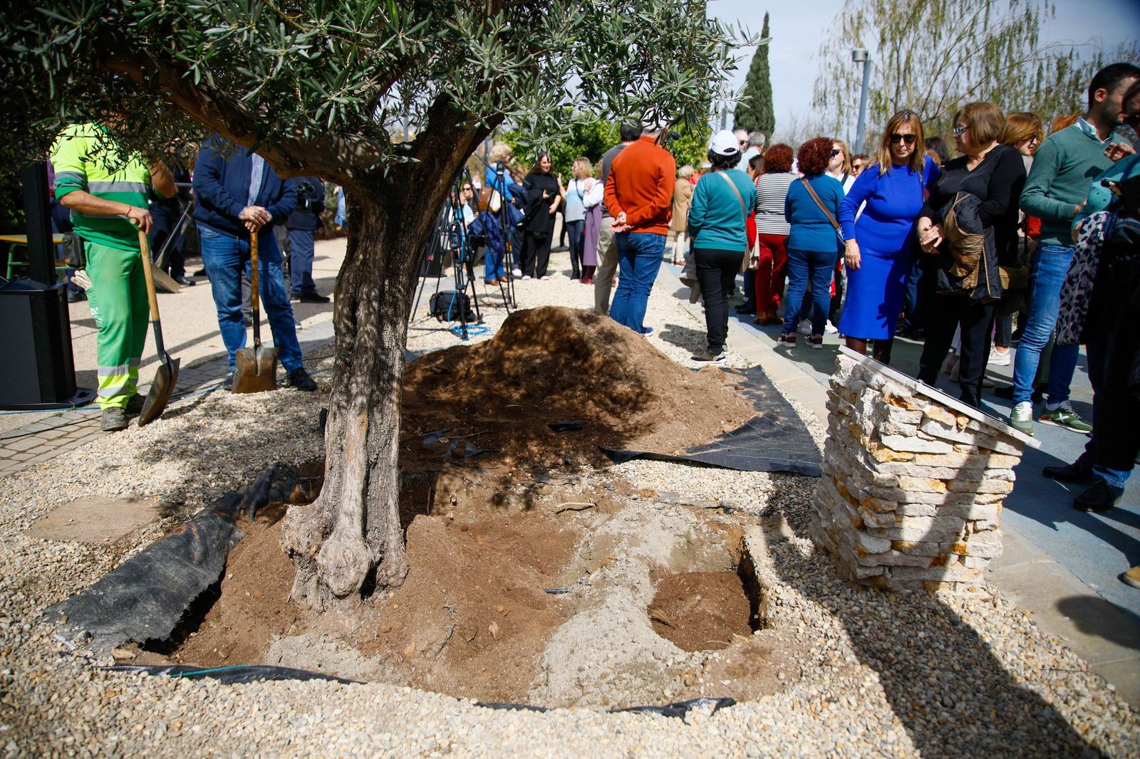 Las imágenes de la plantación de un olivo y el entierro de una cápsula del tiempo