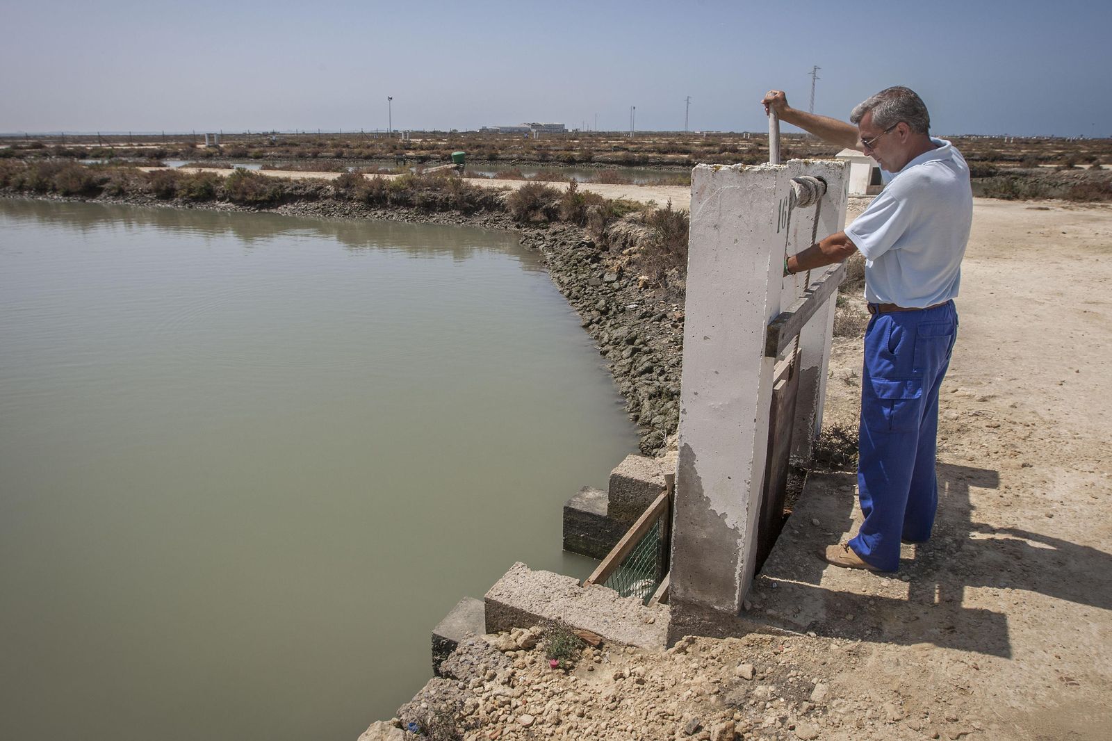 Un empleado de la piscifactoría, el pasado viernes en las instalaciones ubicadas en la antigua salina La Leocadia.