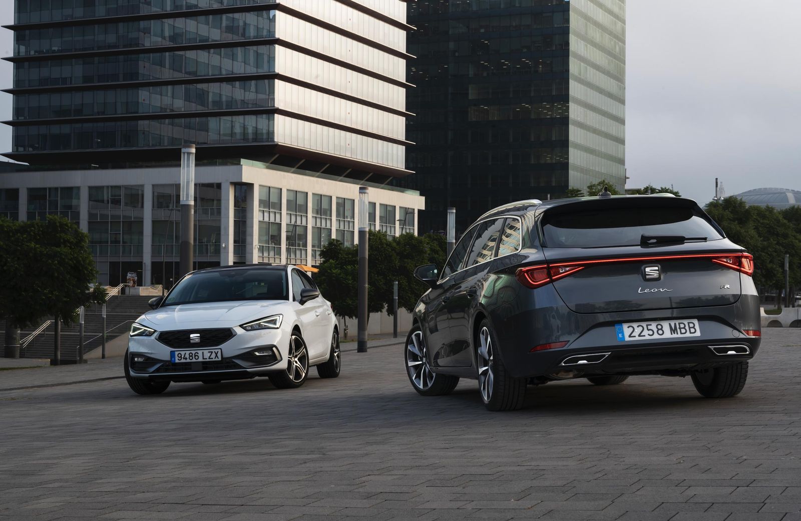 Así son todos los coches con etiqueta Eco y 0 de la familia Seat