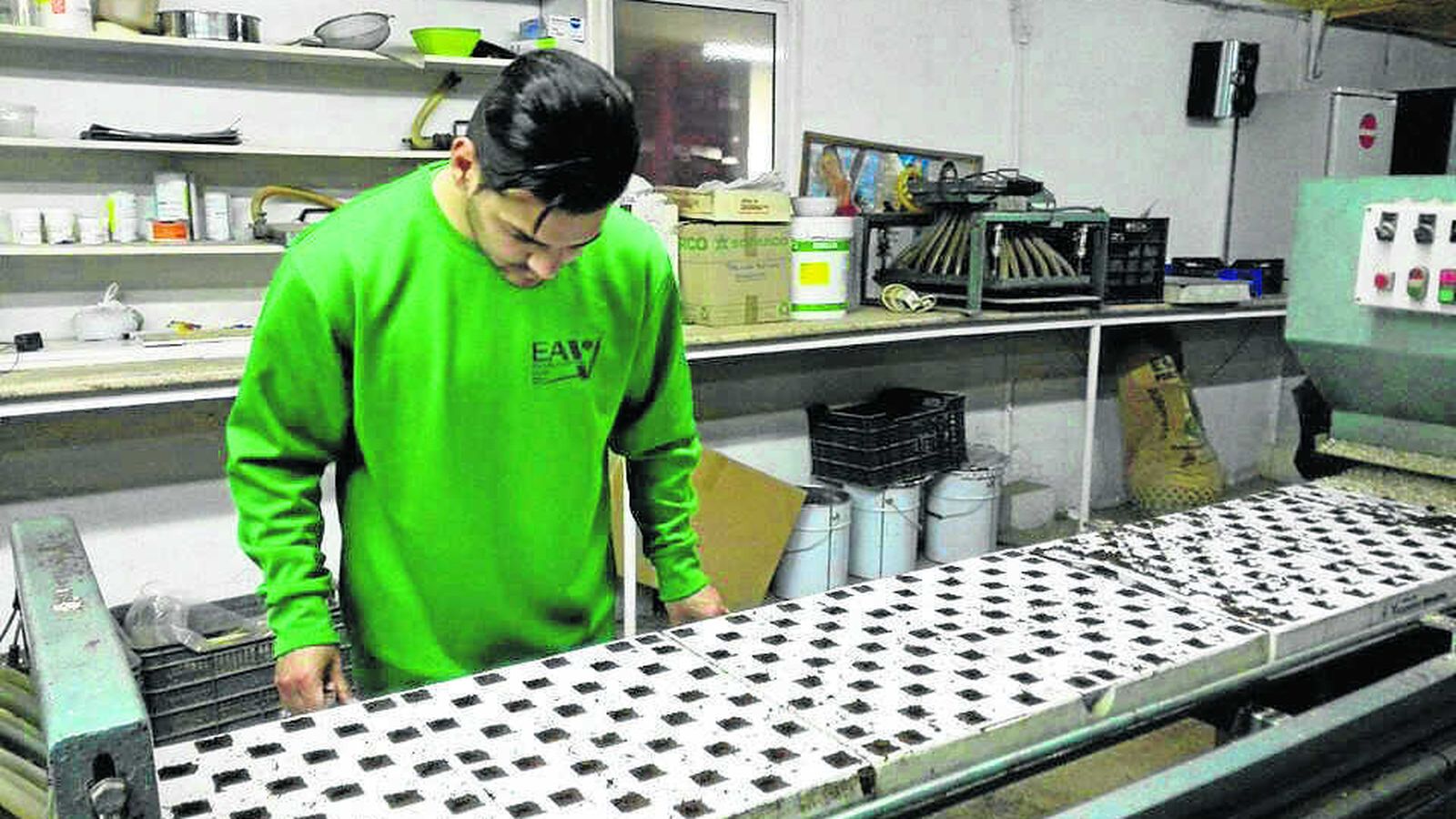 Los estudios en agricultura se sitúan en el segundo puesto de inserción.