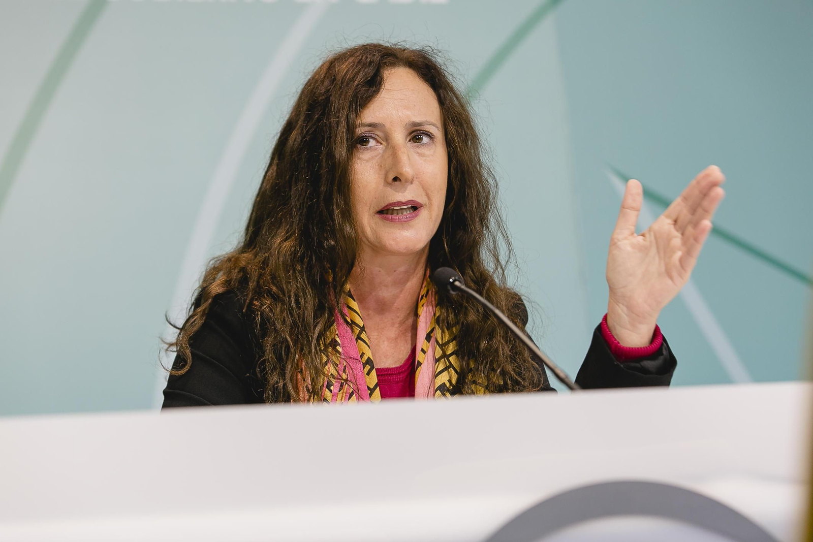 Remedios Palma, durante una rueda de prensa.